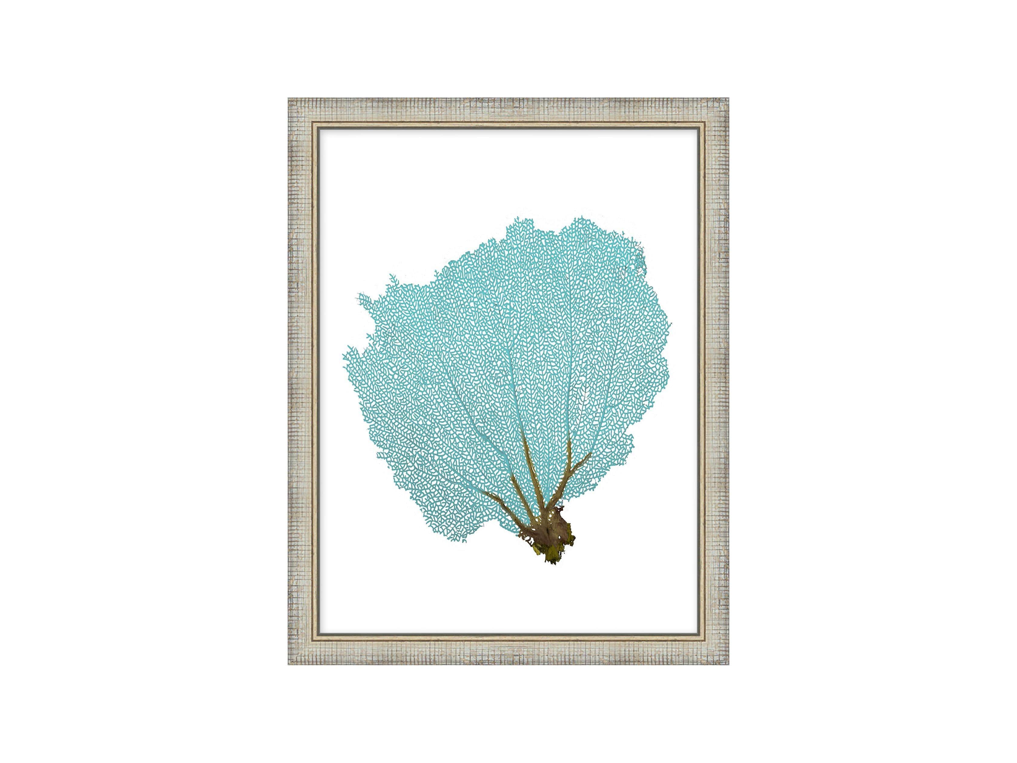 Blue Coral Framed Print #2