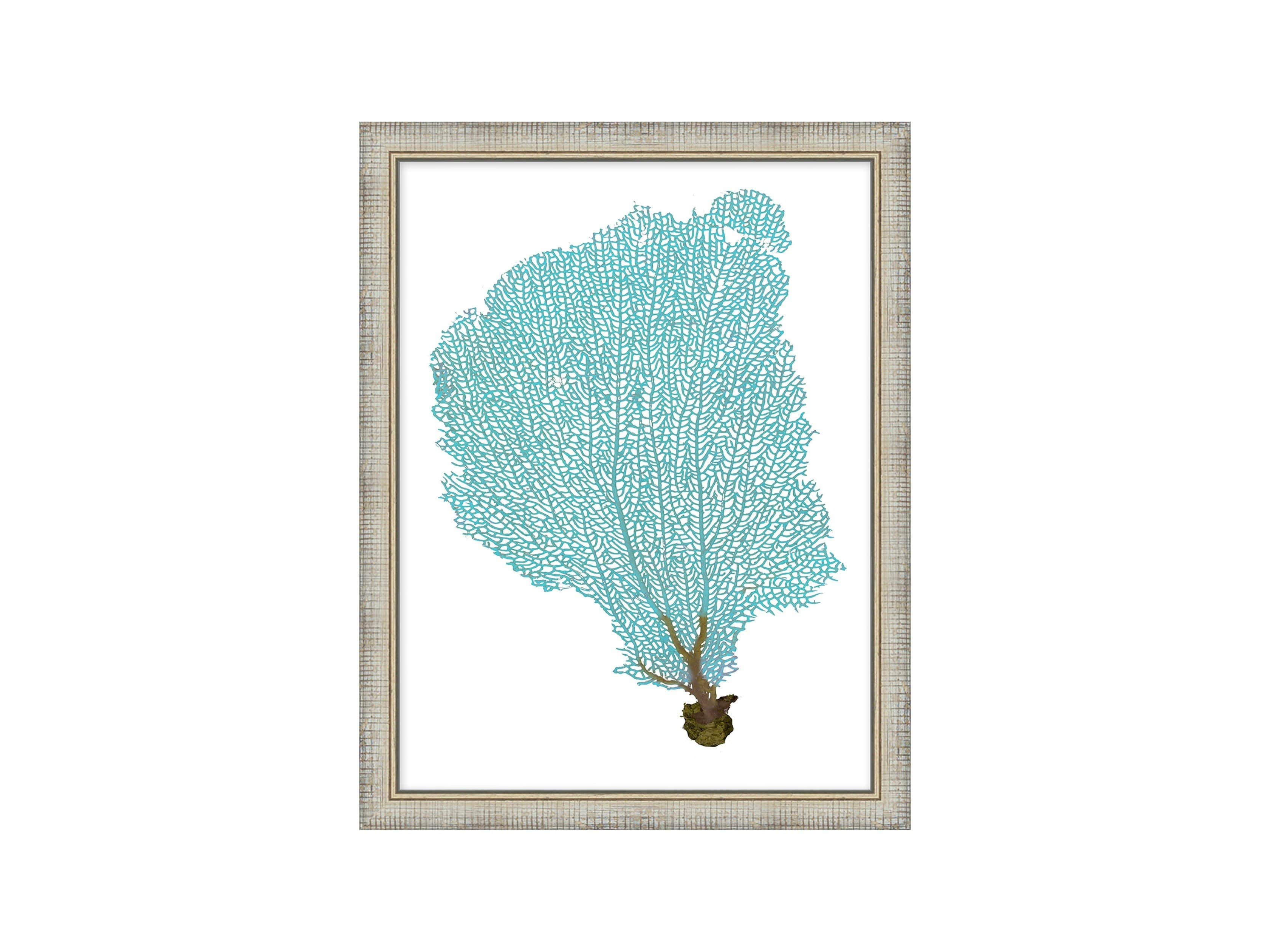 Blue Coral Framed Print #3