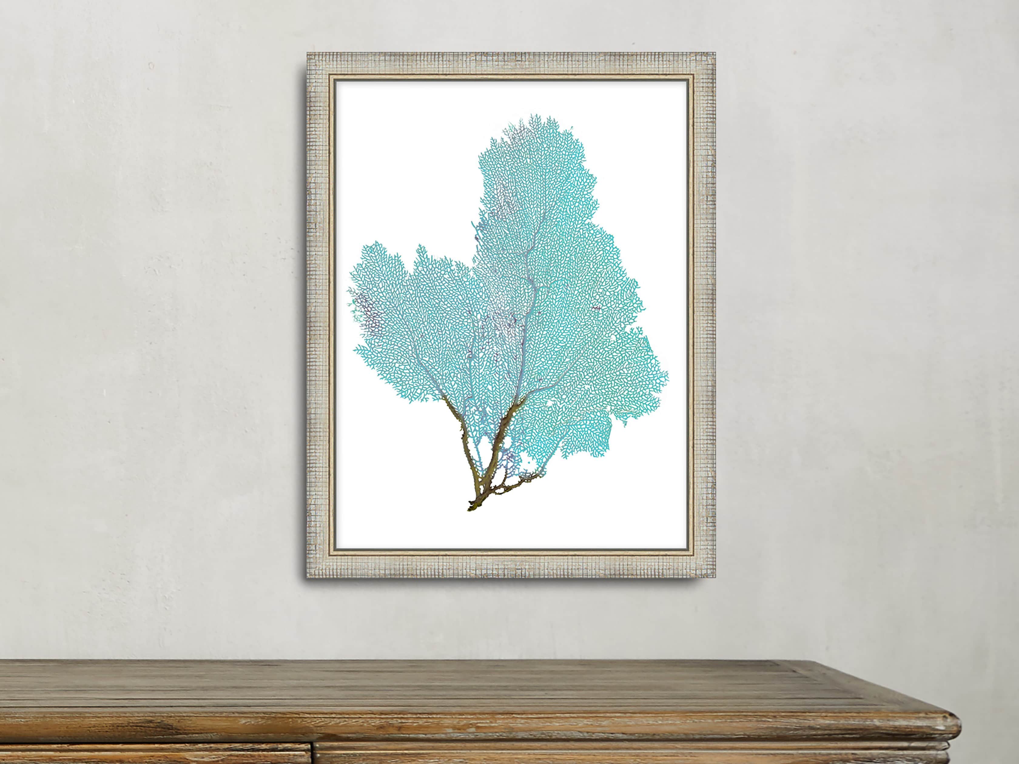 Blue Coral Framed Print #4