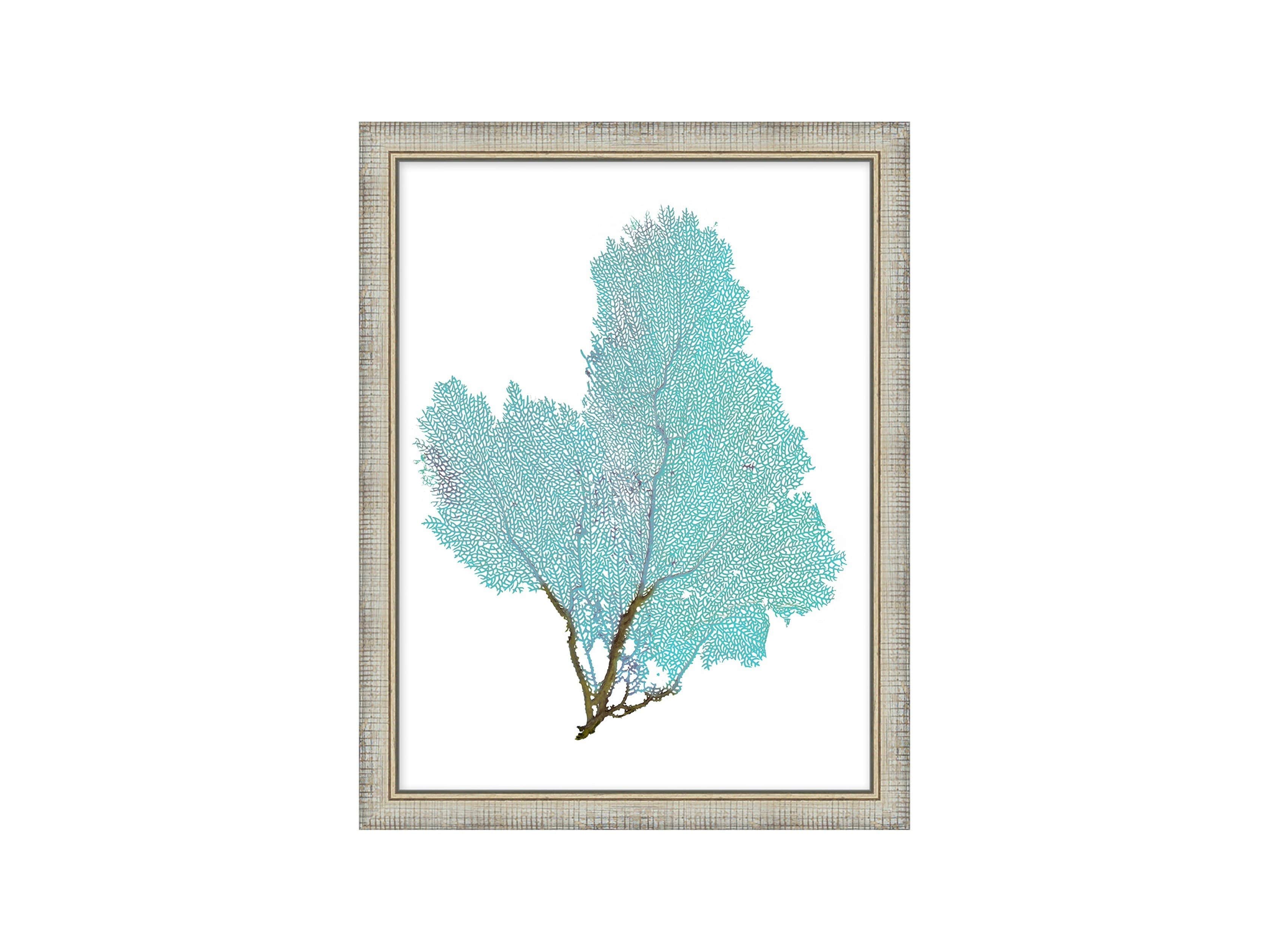 Blue Coral Framed Print #4