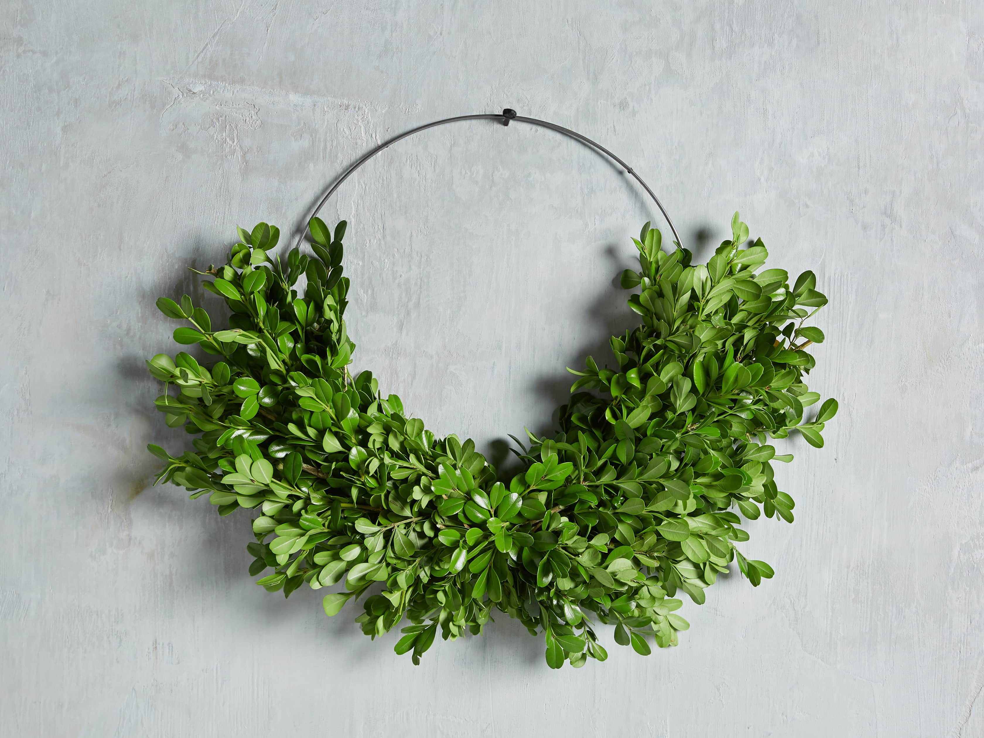 Fresh Boxwood and Myrtle Half Wreath, slide 2 of 3