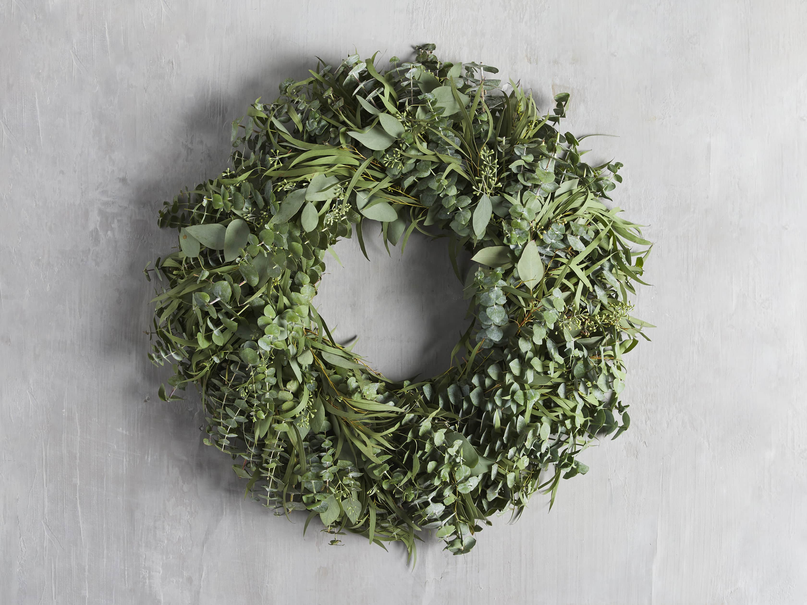 Fresh 26" Mixed Eucalyptus Wreath, slide 1 of 3