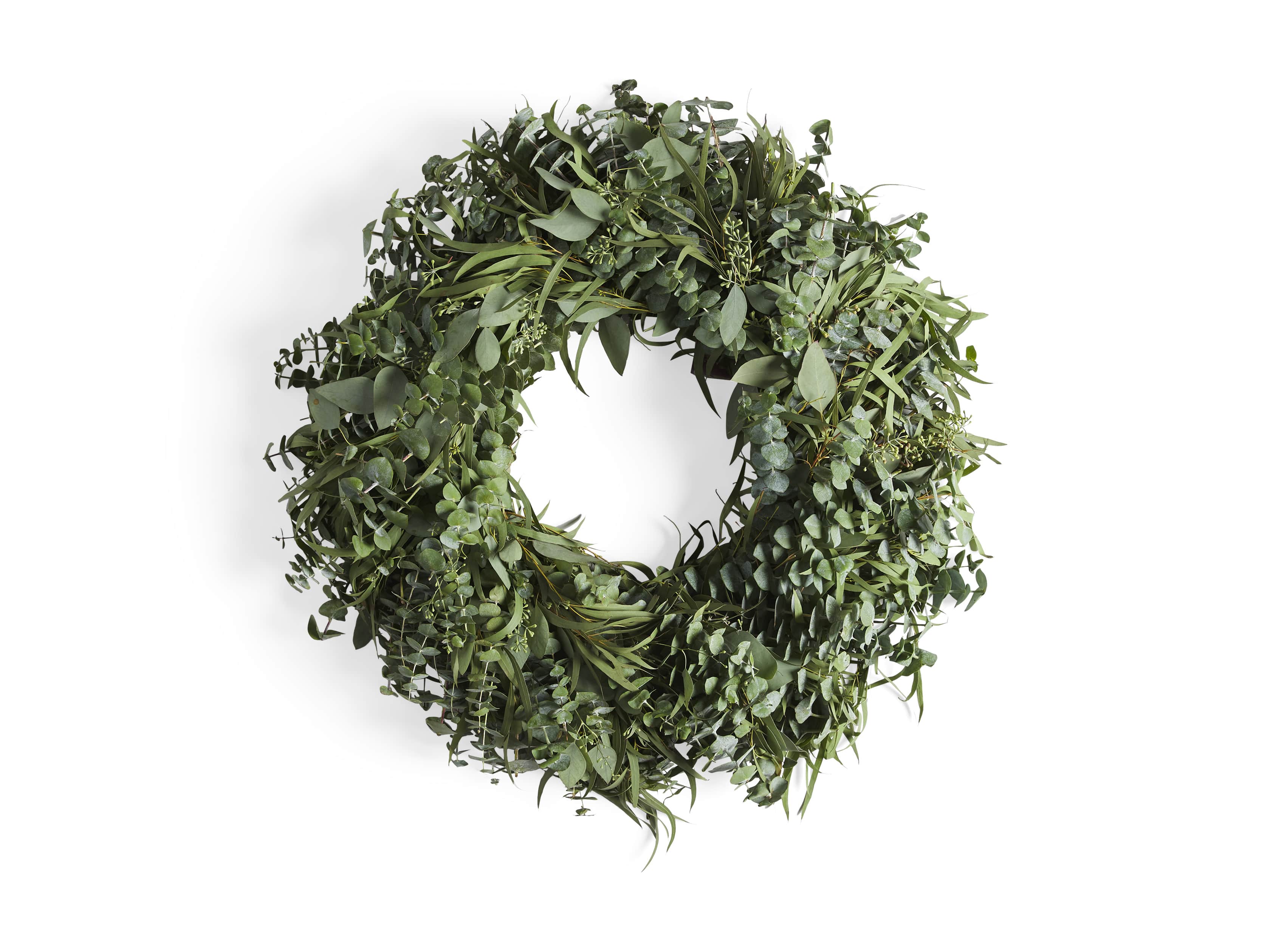 Fresh 26" Mixed Eucalyptus Wreath, slide 3 of 3