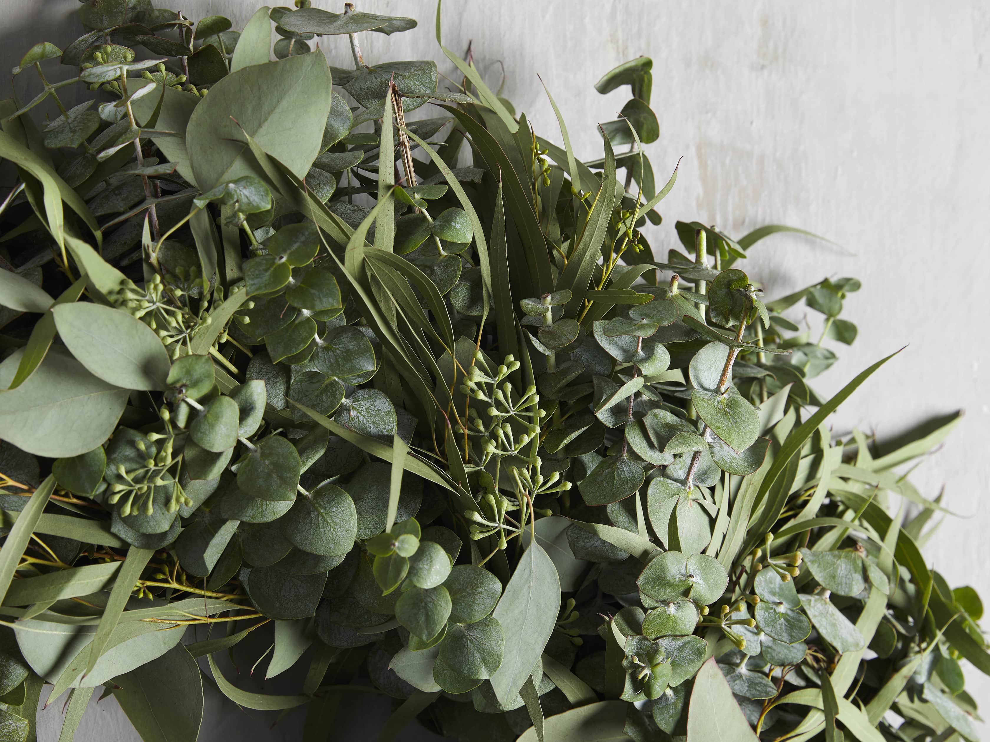 Fresh 26" Mixed Eucalyptus Wreath, slide 2 of 3