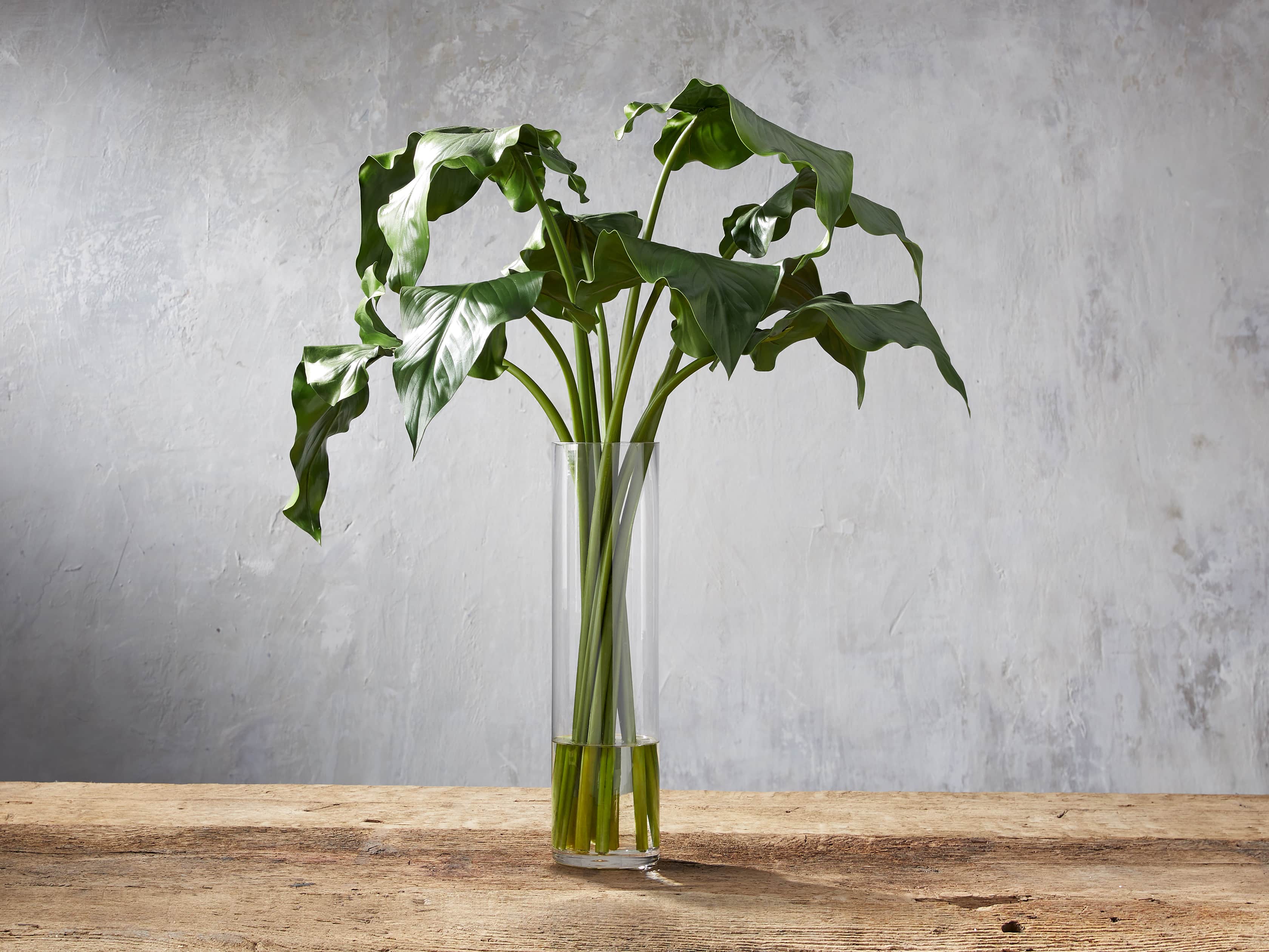 Large Calla Leaf, slide 1 of 1
