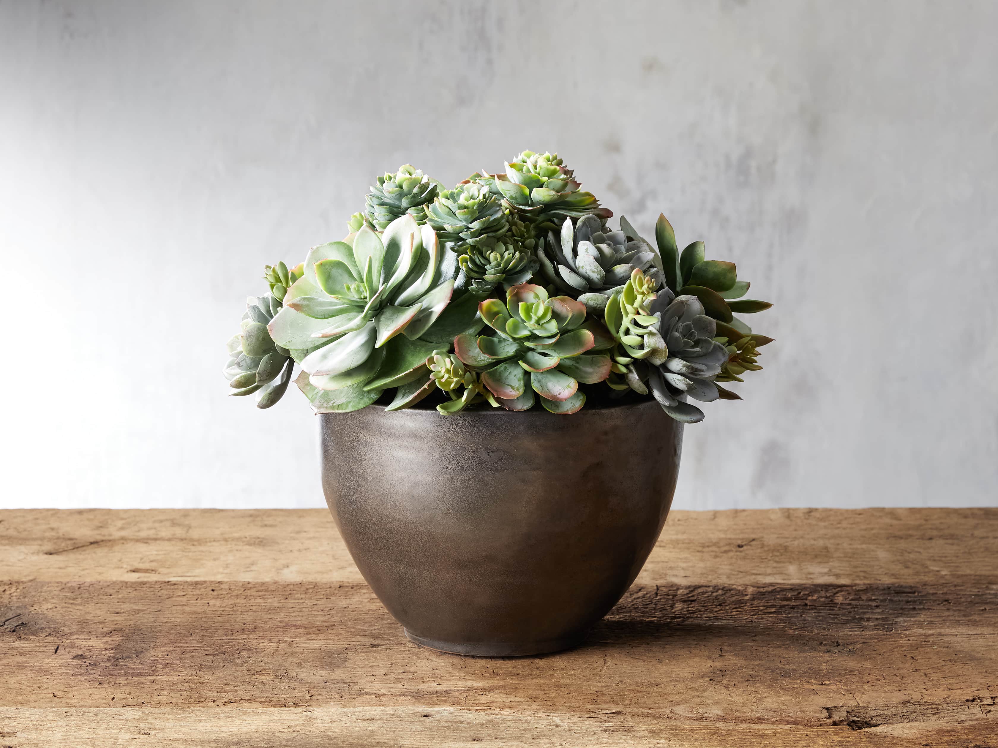 Faux Mix Succulent In Large Bowl Arhaus