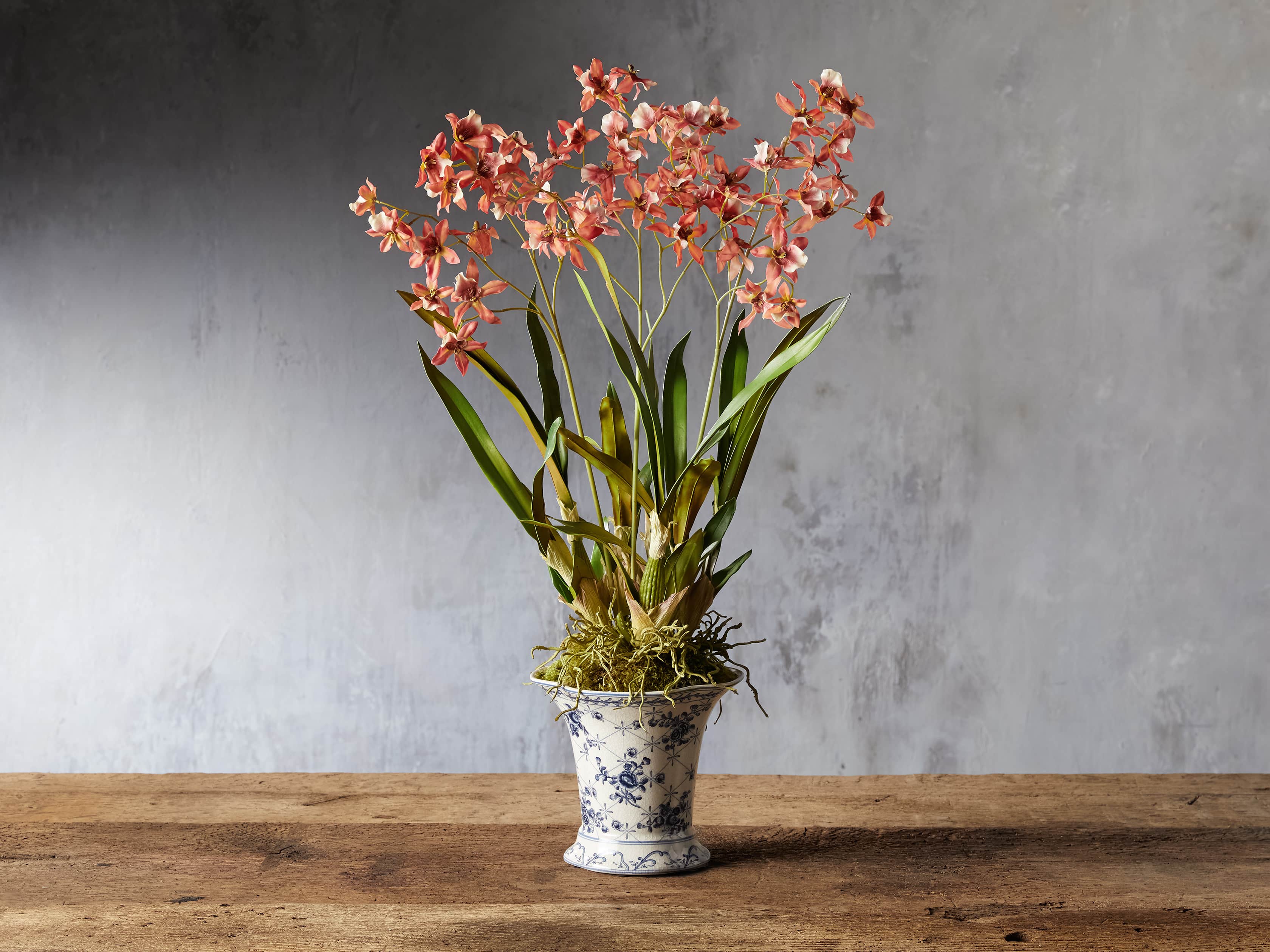Orange Oncidium Orchid, slide 1 of 1