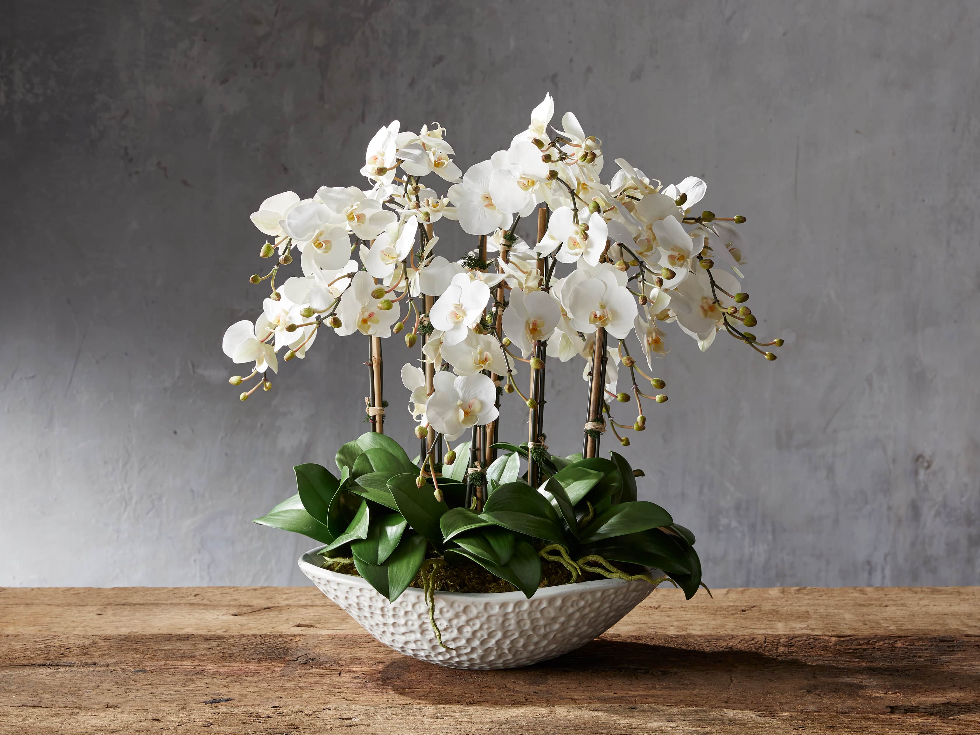Yellow Oncidium Vase, slide 1 of 1