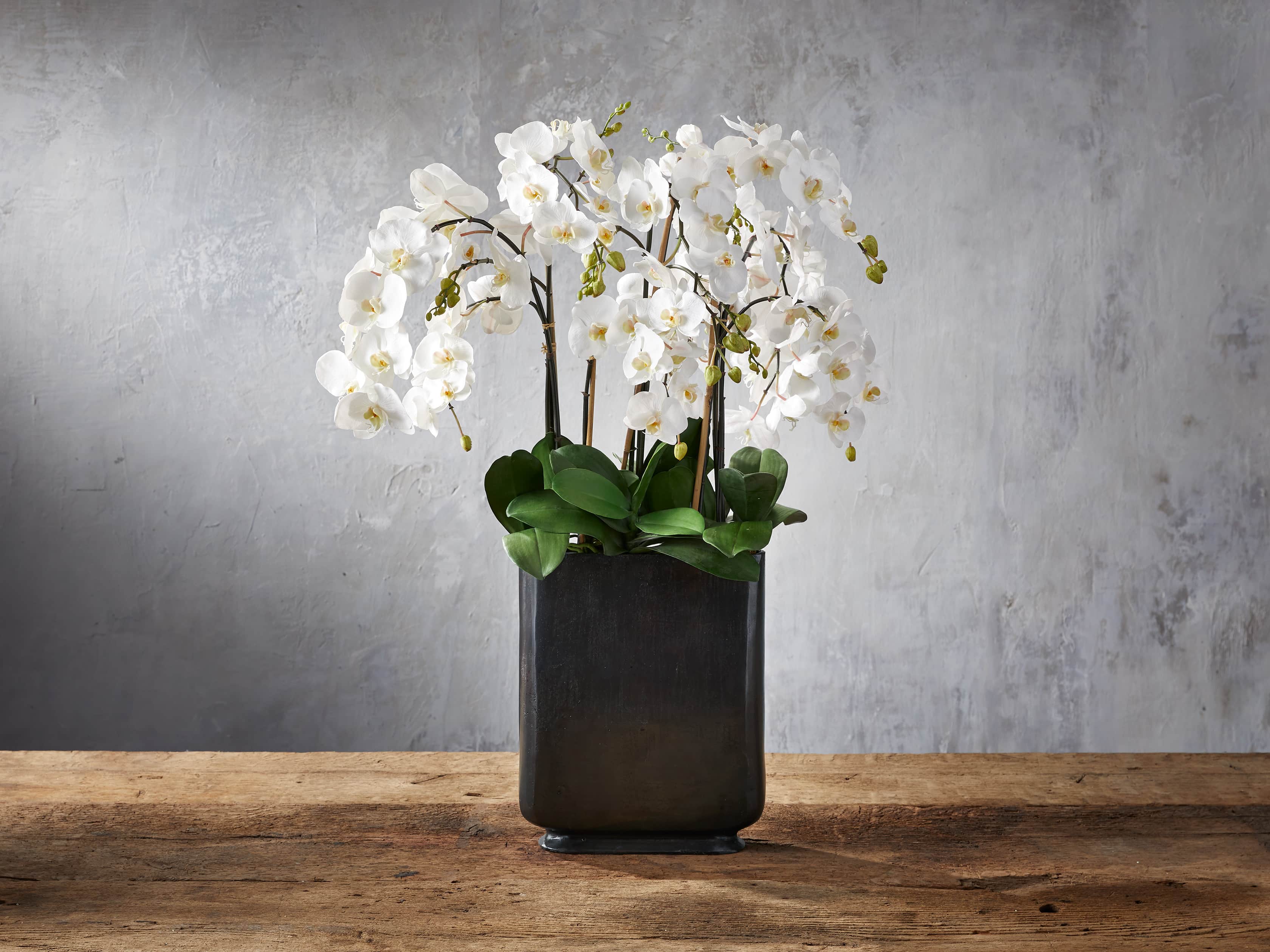 Phalaenopsis Bronze Tall Vase, slide 1 of 2