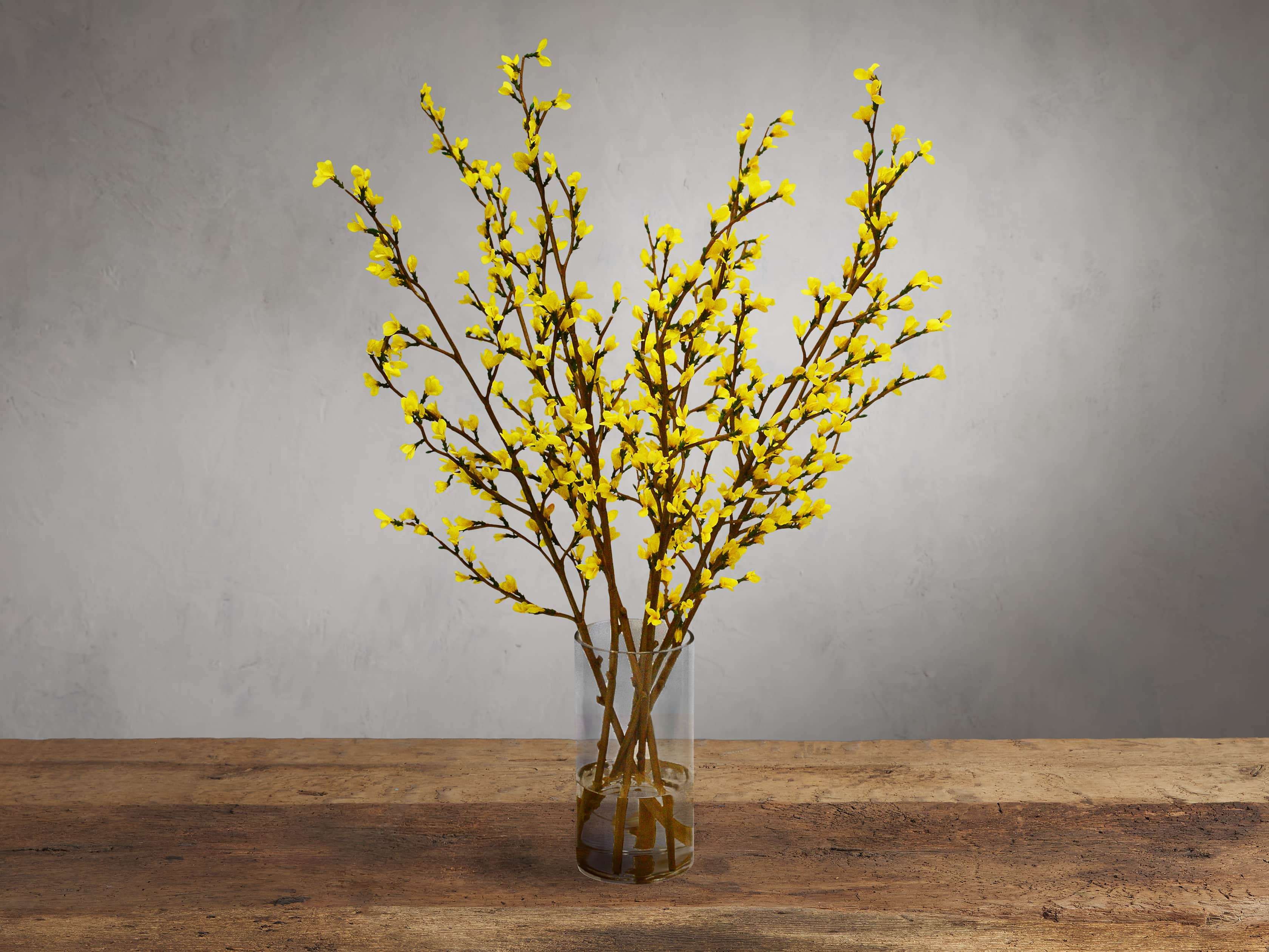 Faux Forsythia in Glass, slide 1 of 1