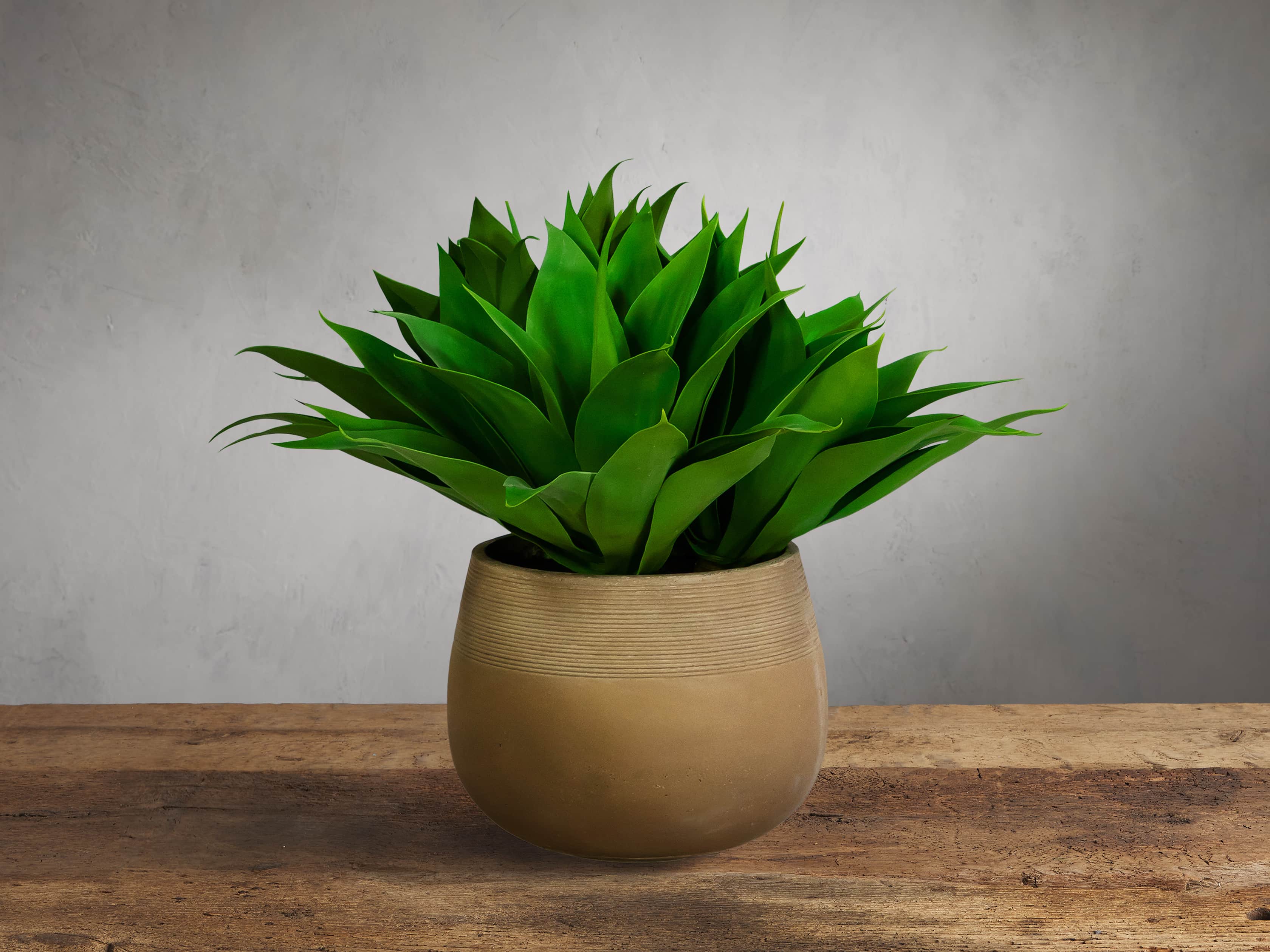 Faux Aloe In Stonecast Planter, slide 1 of 1