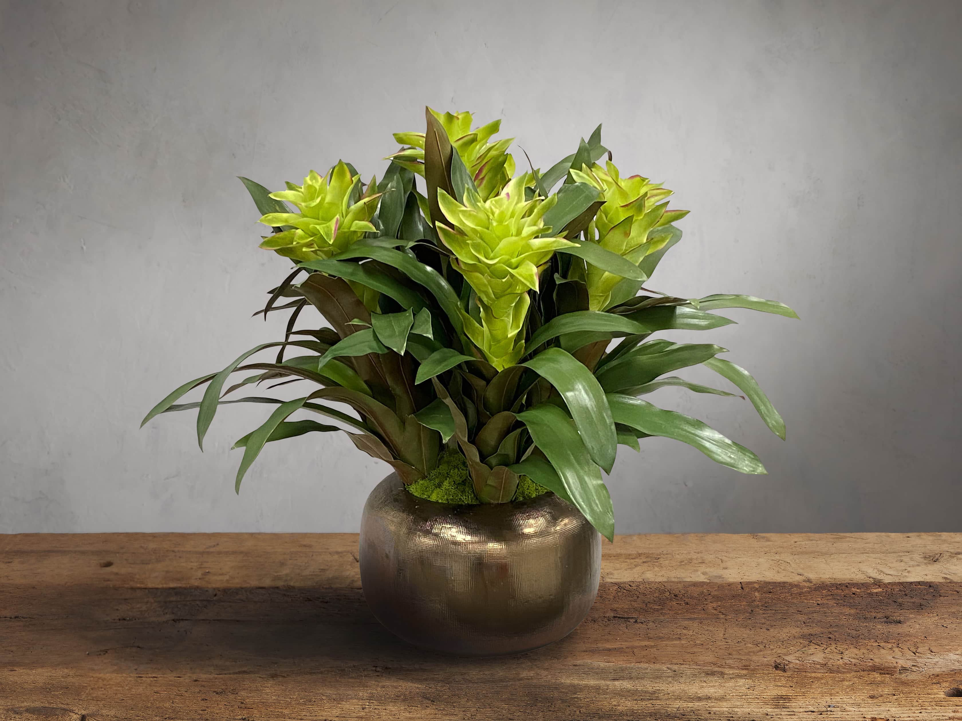 Faux Bromeliad in Artisanal Pot, slide 1 of 1