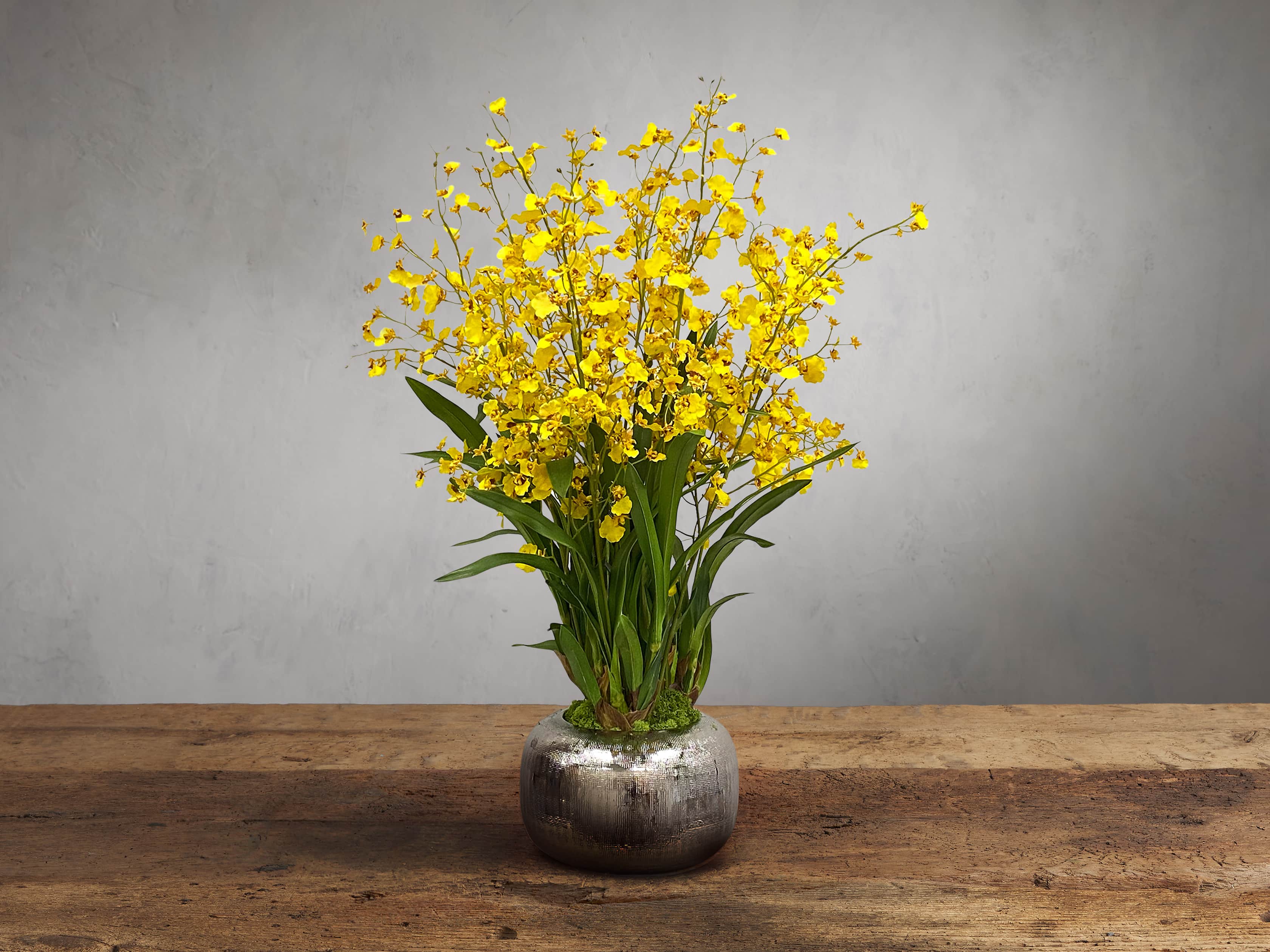Faux Dancing Orchid in Artisanal in Pot, slide 1 of 1