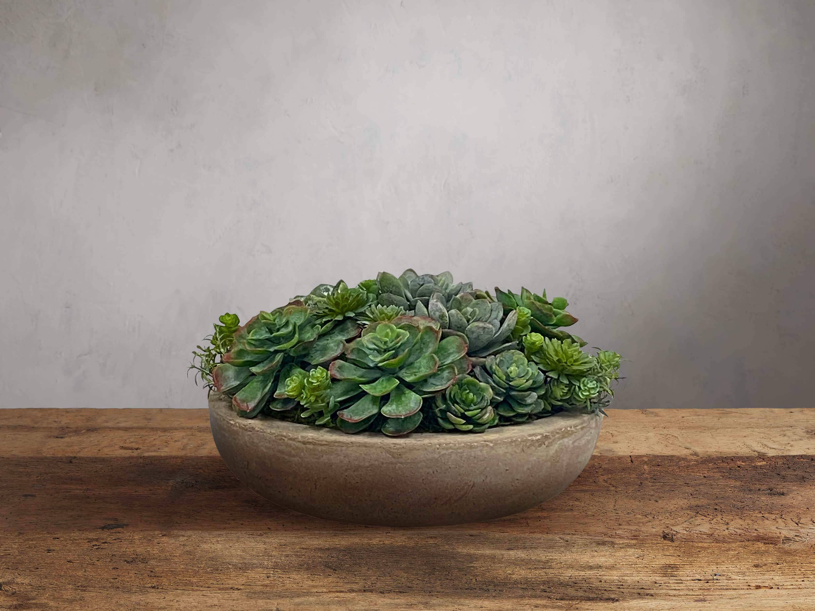 Faux Succulent Mix In Round Bowl, slide 1 of 1