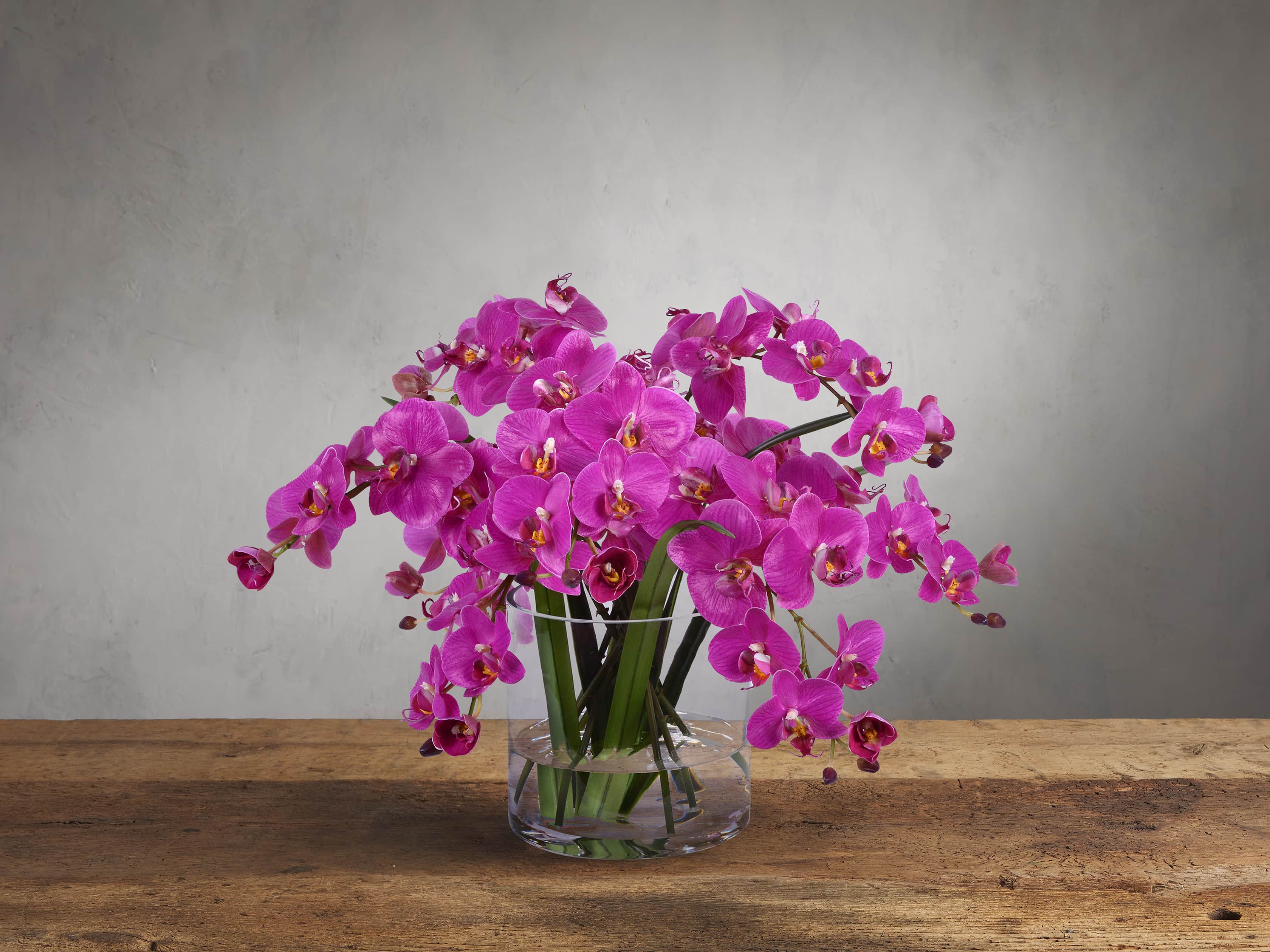 Faux Fuchsia Phalaenopsis in Glass, slide 1 of 1