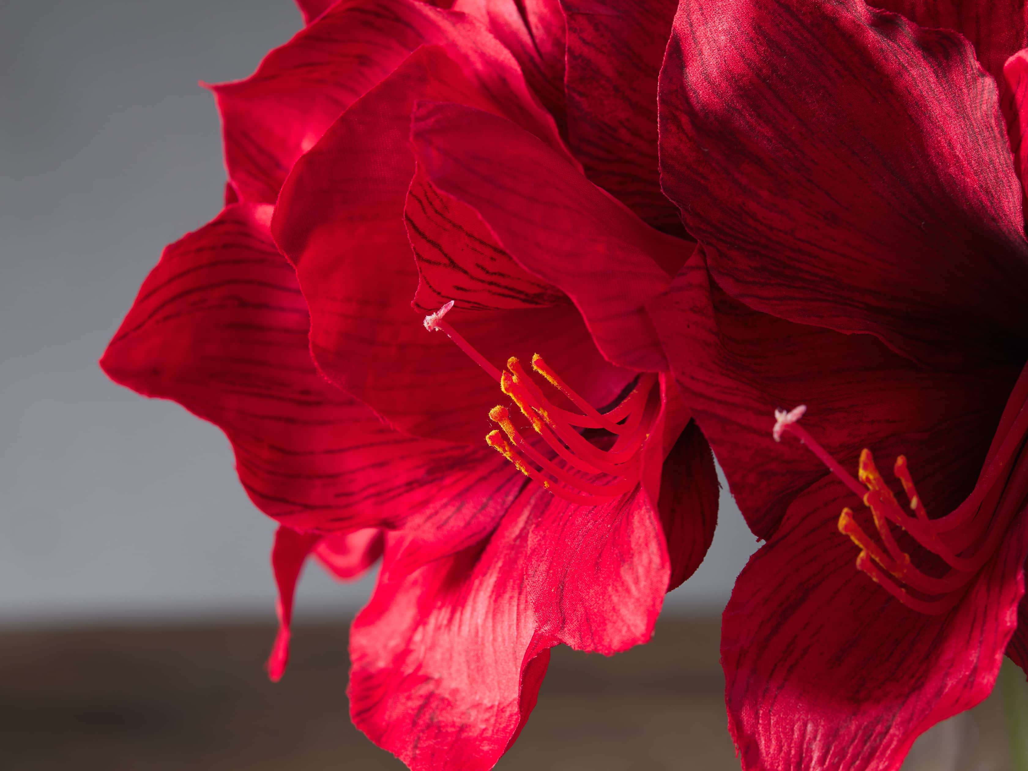 Faux Garden Amaryllis Vase 14", slide 2 of 3