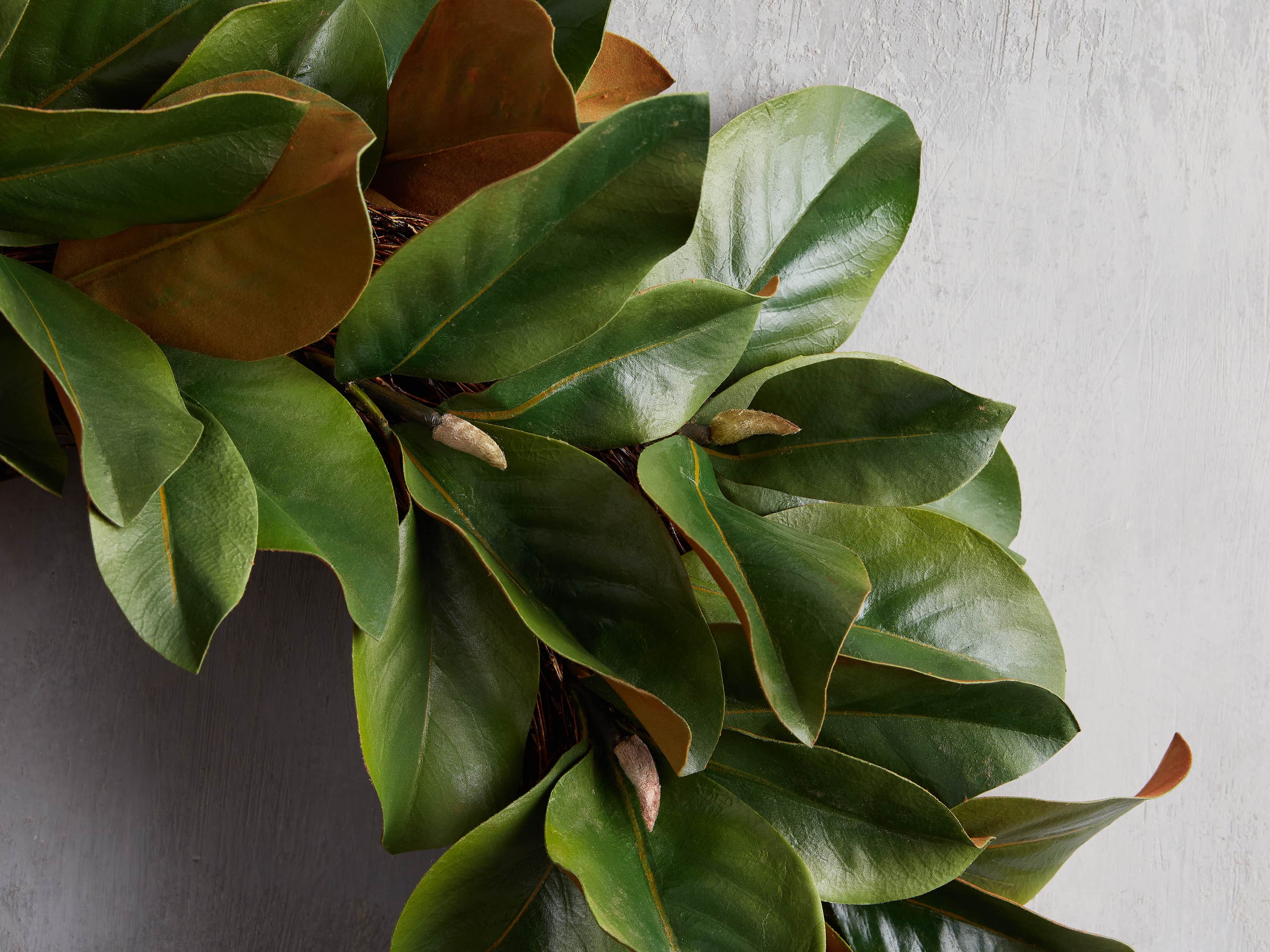 Faux Small Magnolia Leaf Wreath, slide 2 of 3