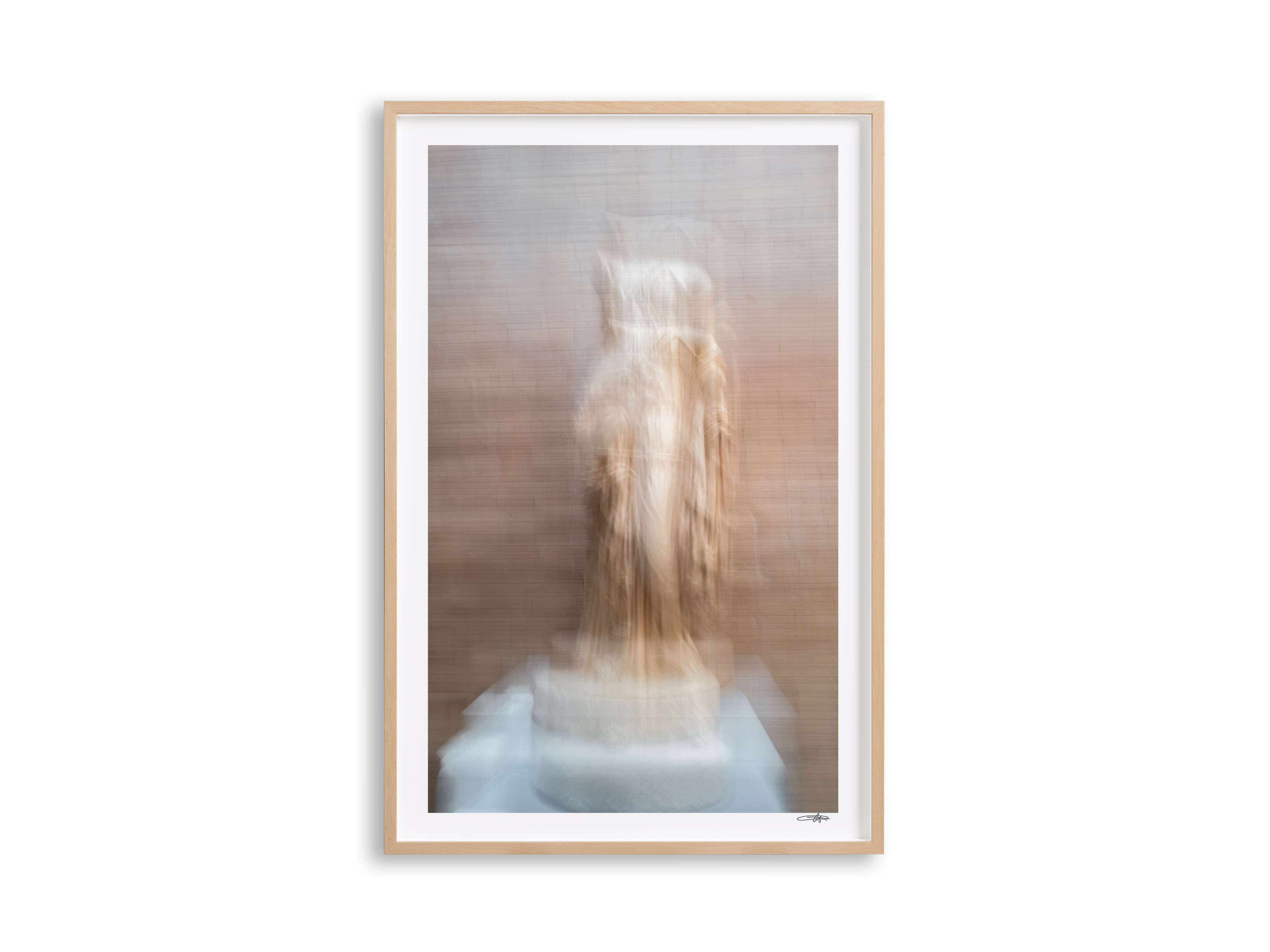 Roman Framed Print