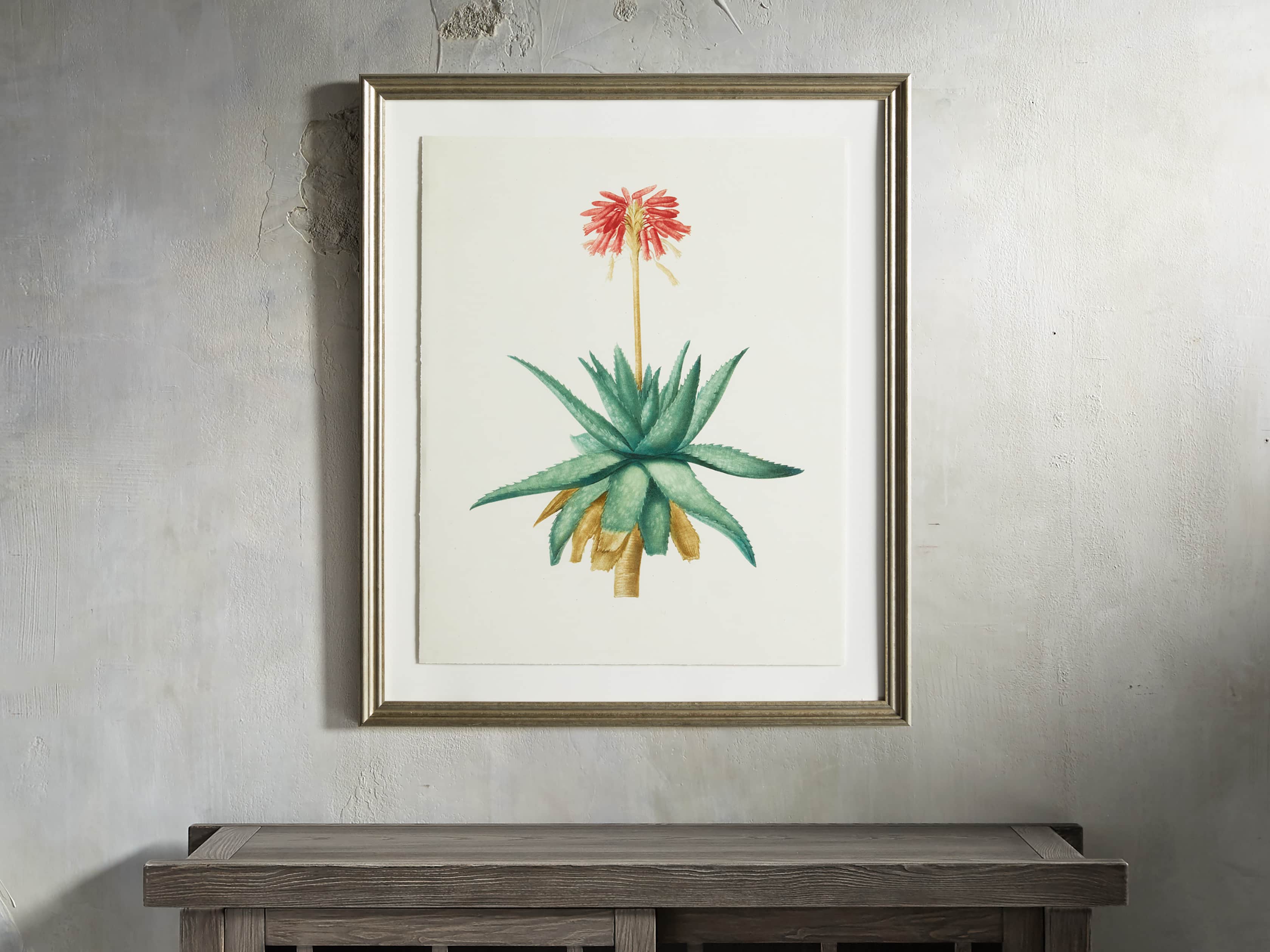 Aloe Frame Print I, slide 1 of 3