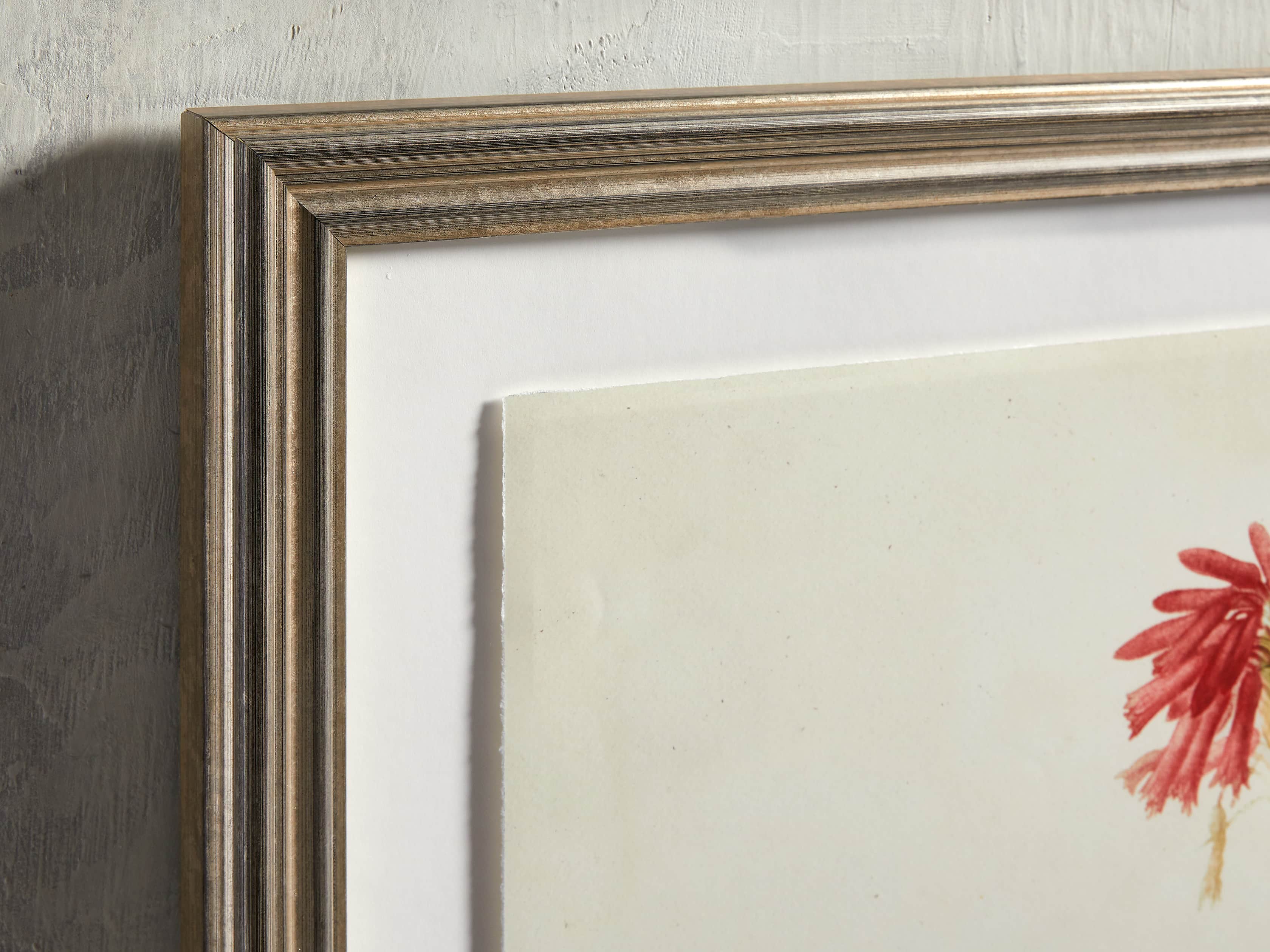 Aloe Frame Print I, slide 2 of 3