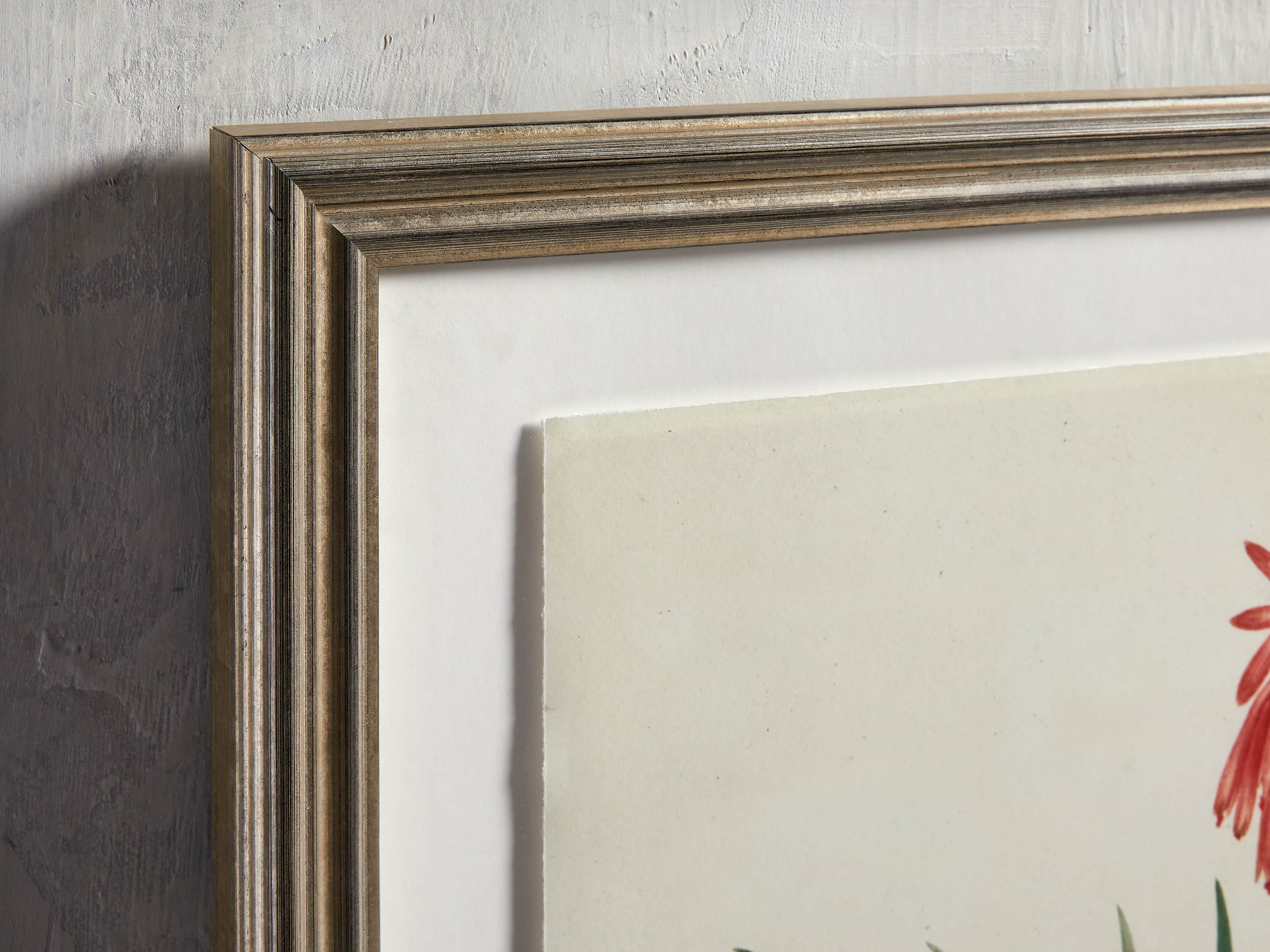 Aloe Frame Print II, slide 2 of 4
