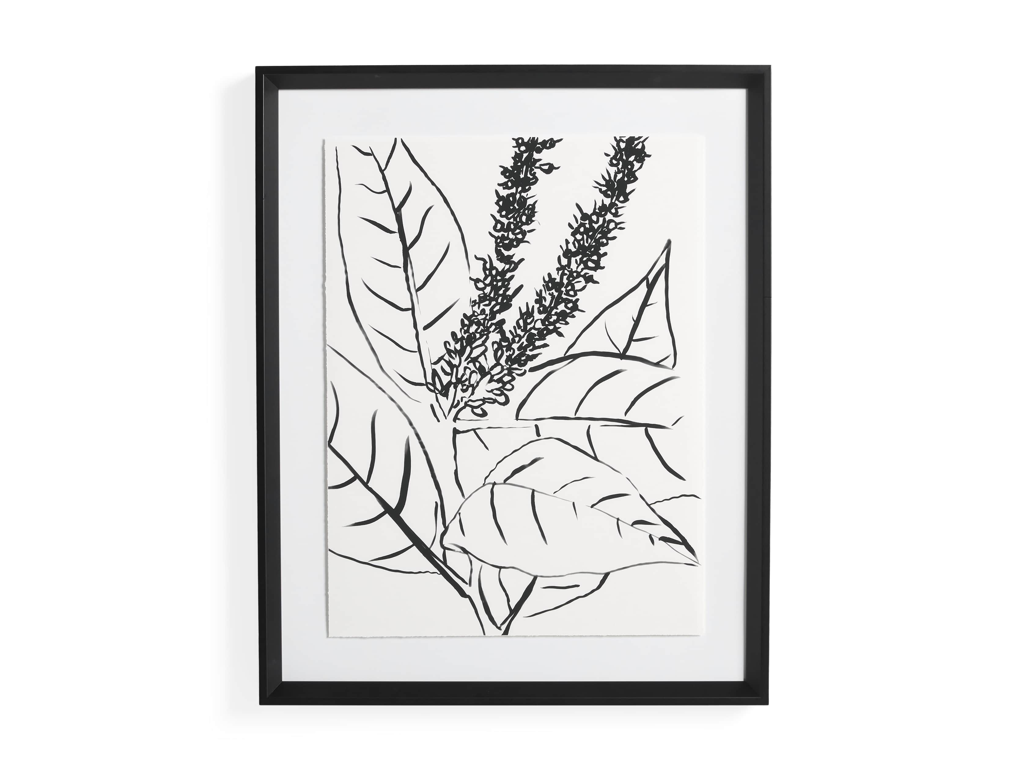 Ink Nature Study II, slide 4 of 4