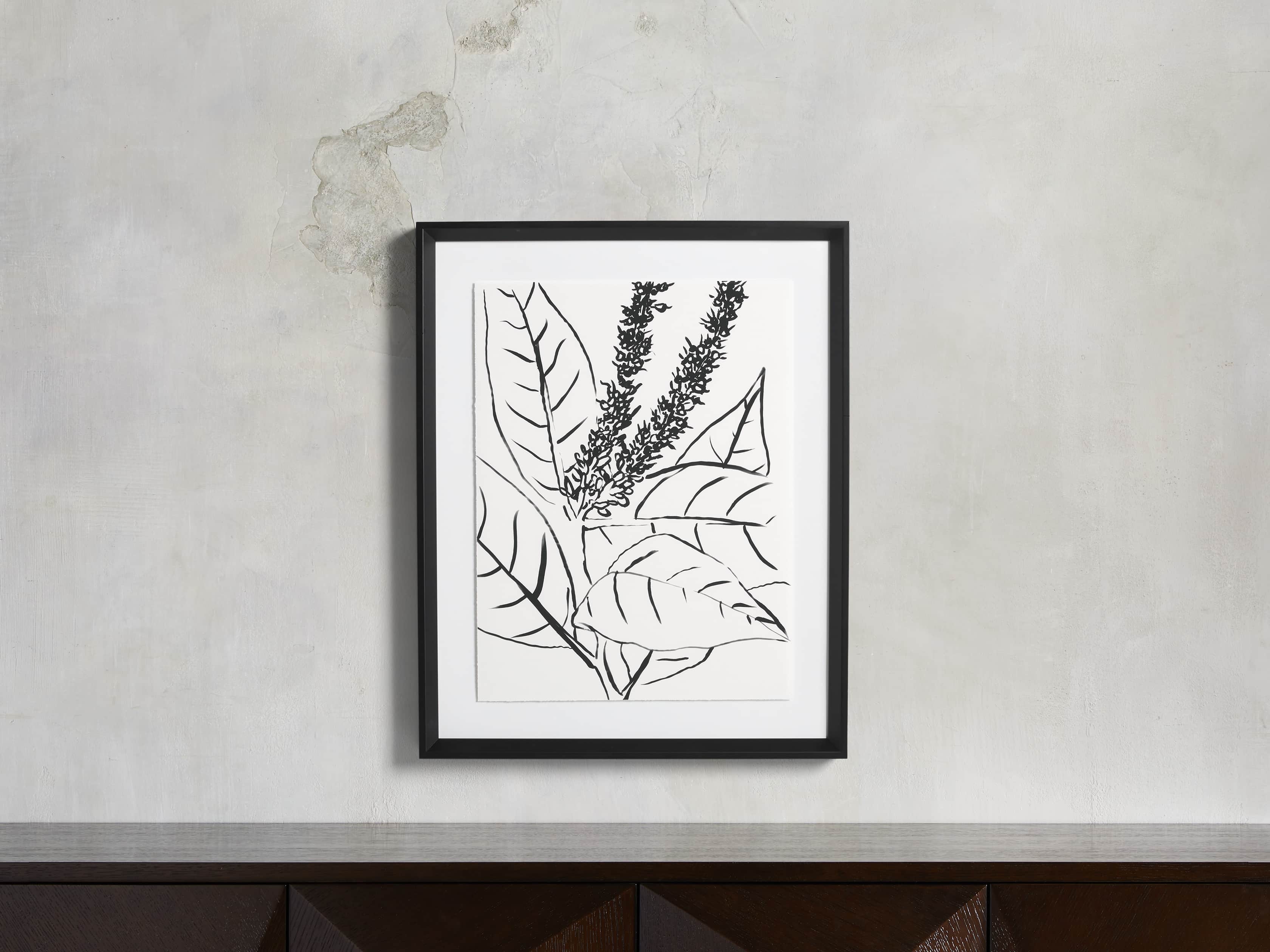 Ink Nature Study II, slide 1 of 4
