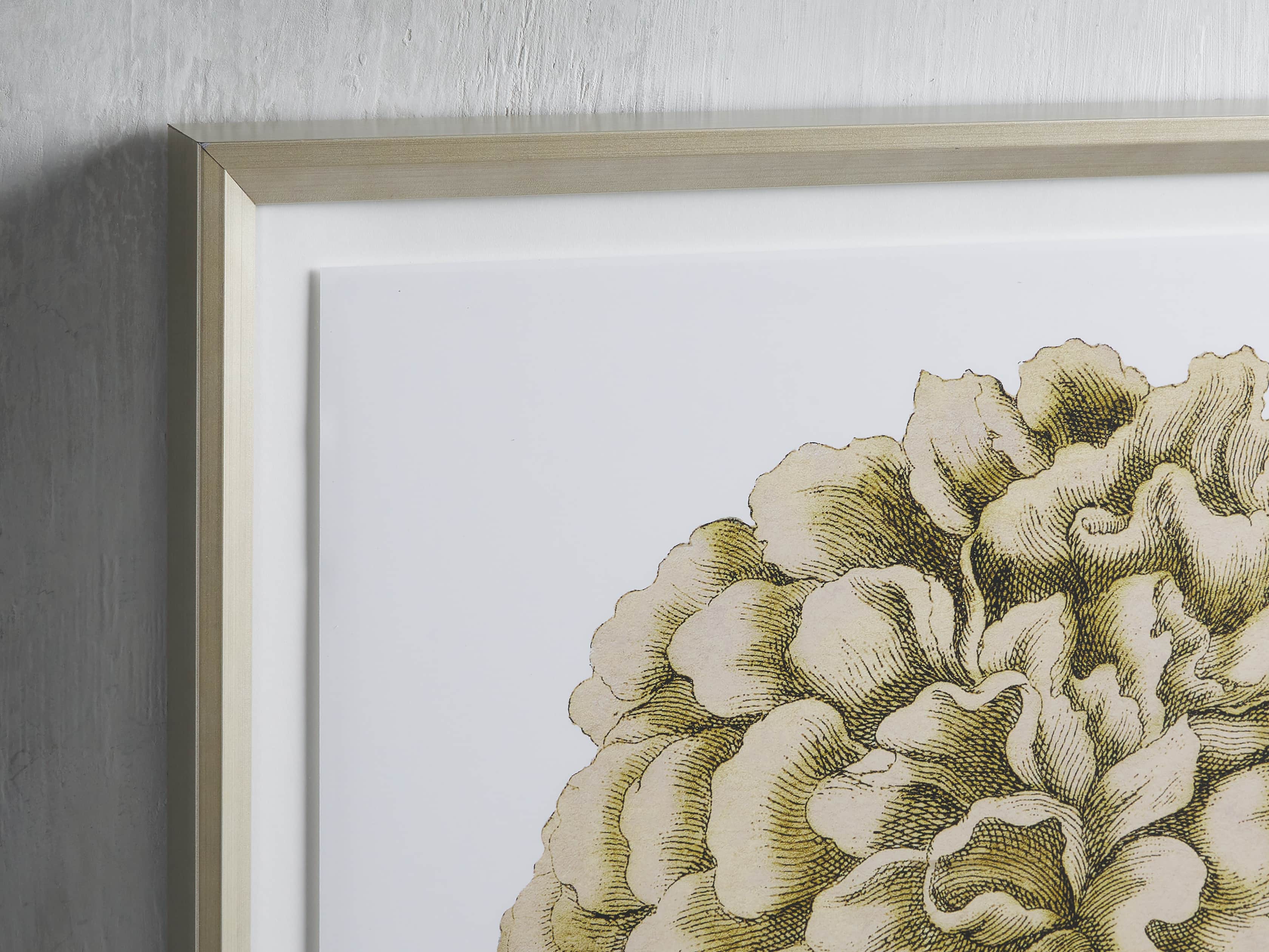 Spring Yellows 27" Framed Print II, slide 2 of 4