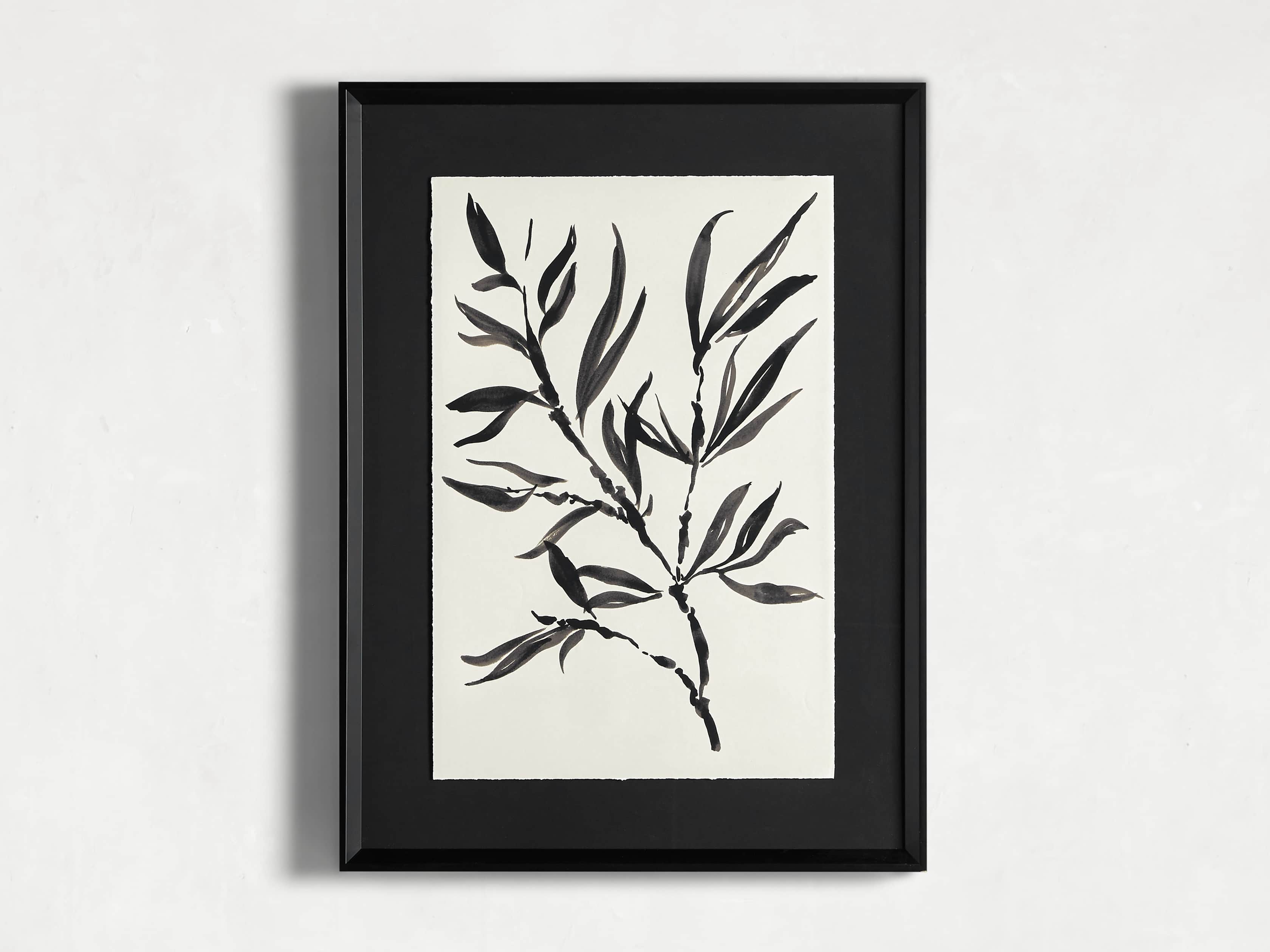 Caligraphy Botanical Framed Print II, slide 4 of 6