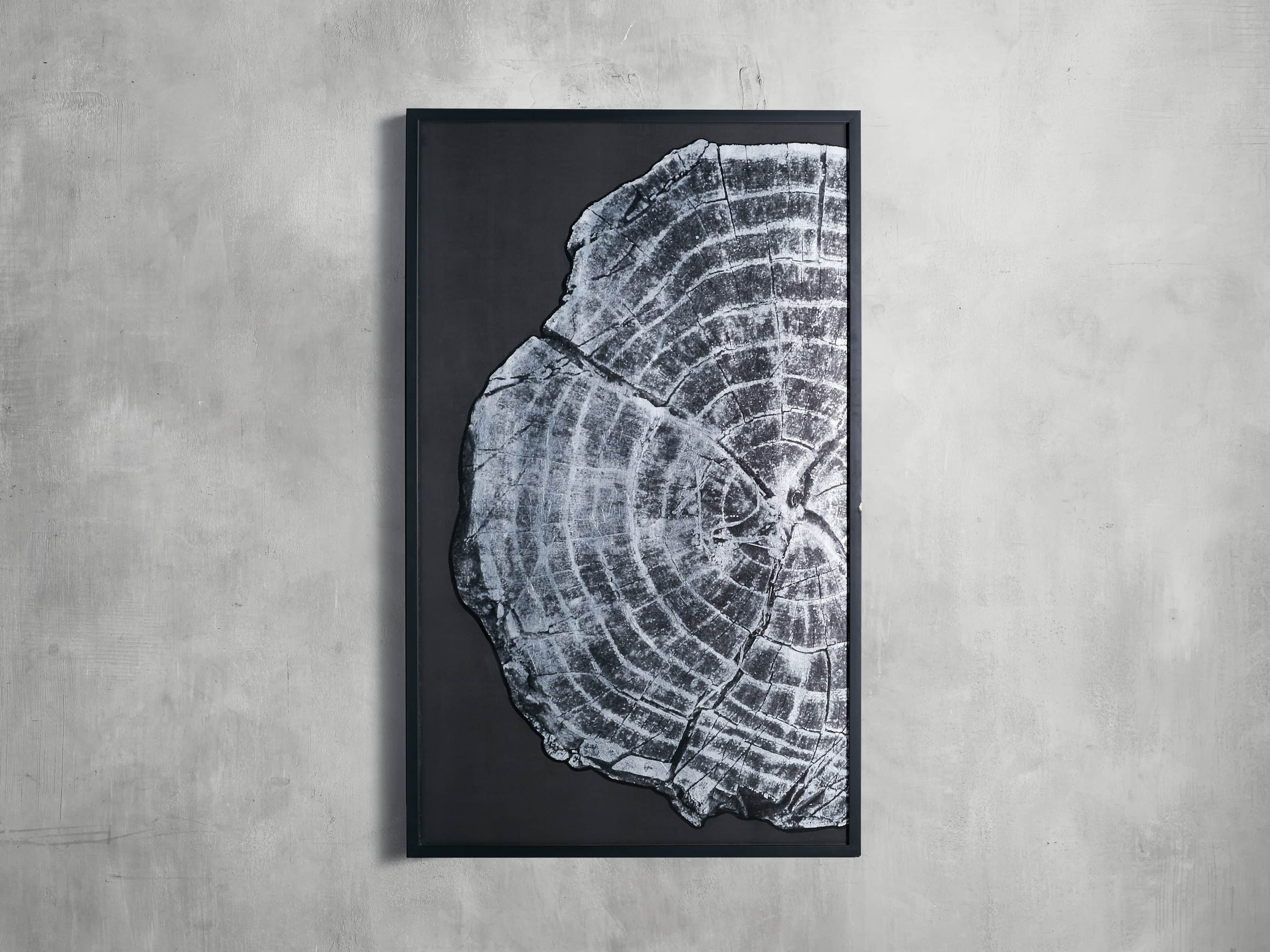 37" Tree Ring Framed Diptych I, slide 2 of 7