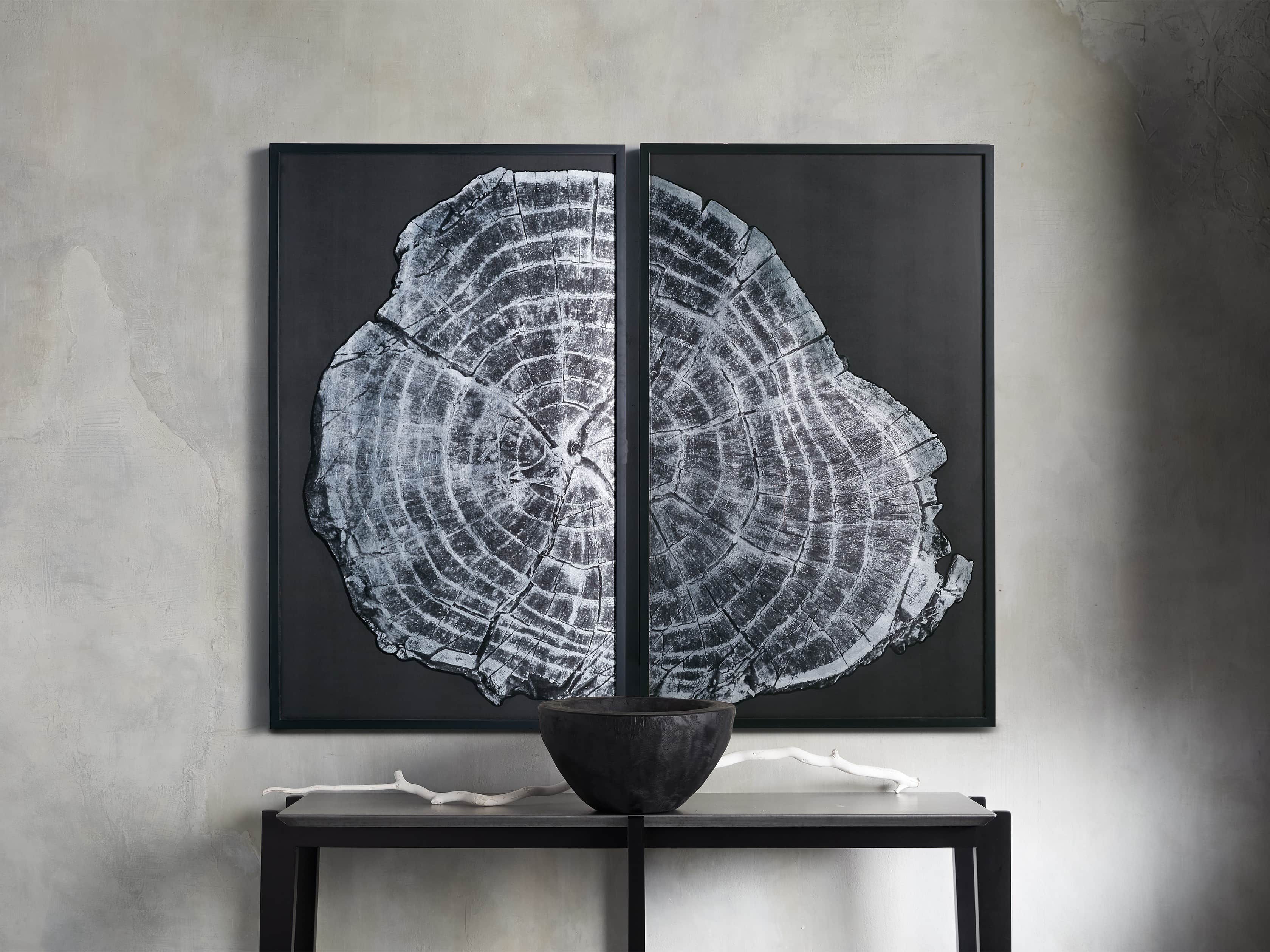 37" Tree Ring Framed Diptych I, slide 4 of 7