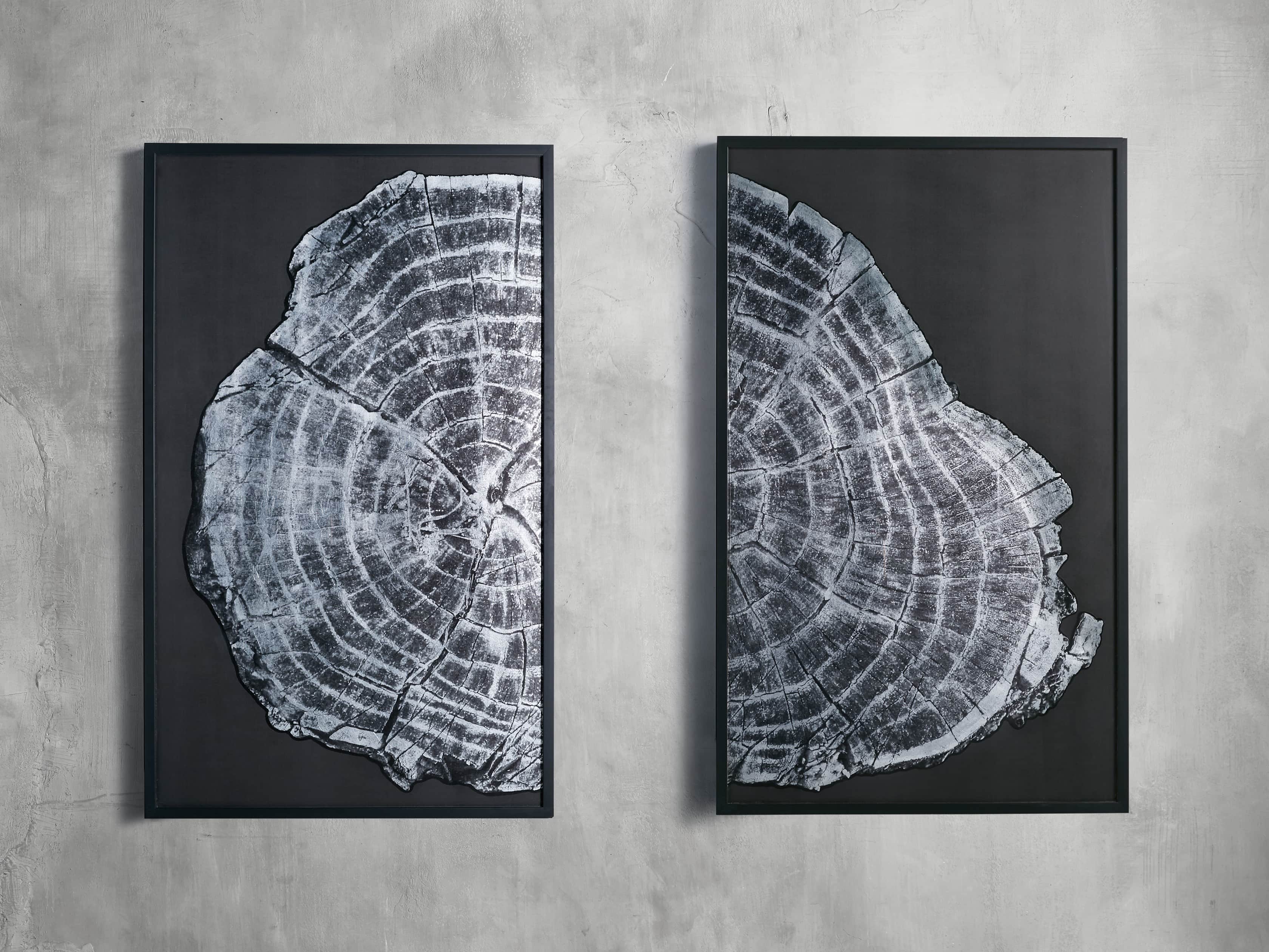 37" Tree Ring Framed Diptych I, slide 5 of 7