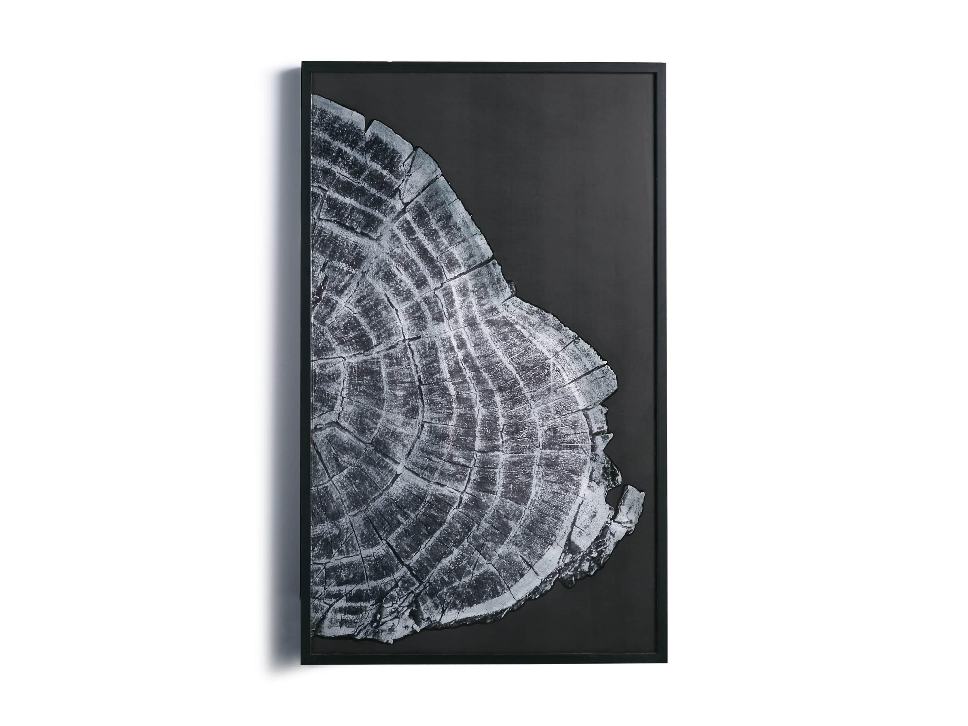 37" Tree Ring Framed Diptych II, slide 6 of 6
