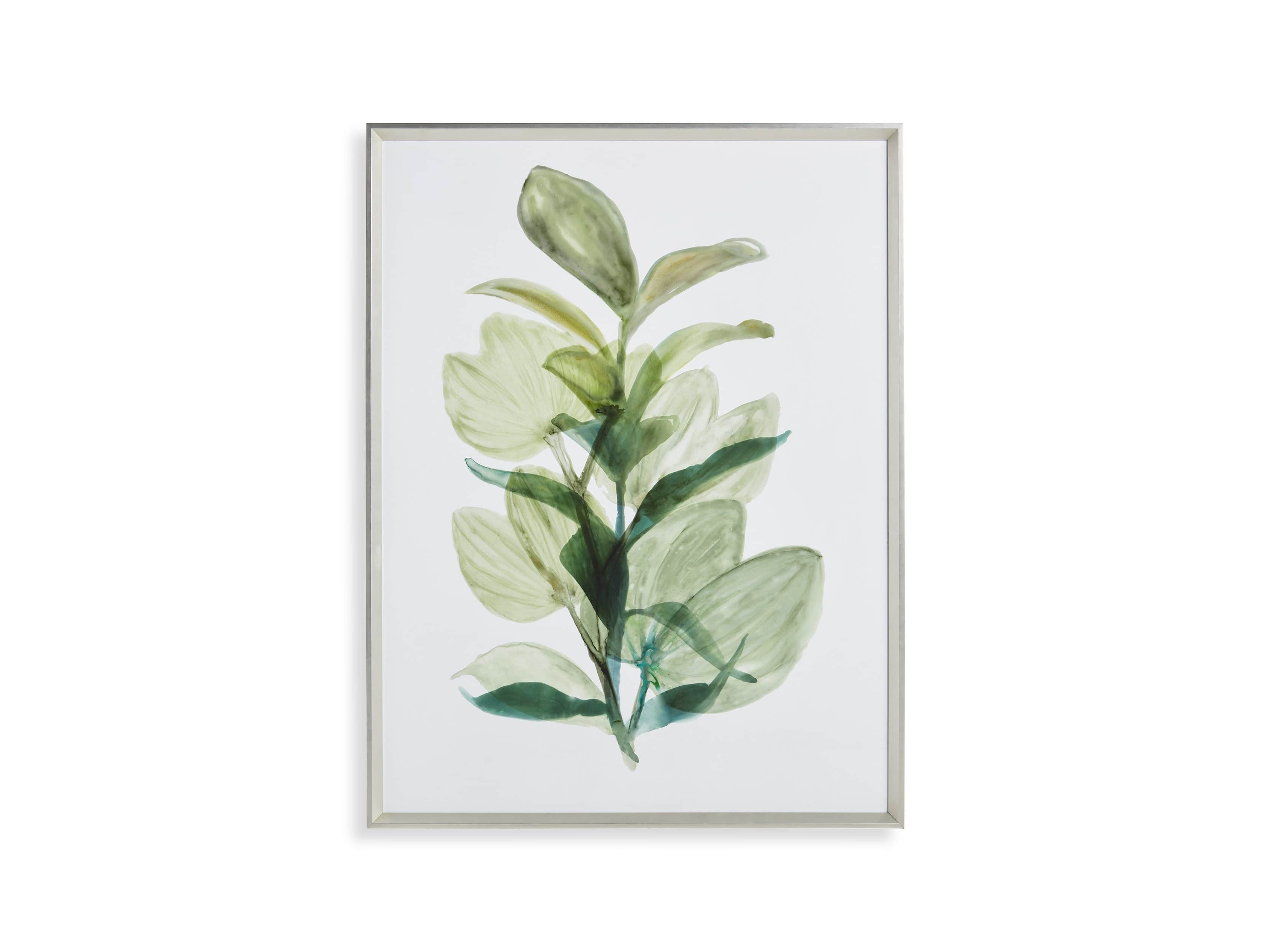 Translucent Leaves Framed Print I, slide 7 of 7