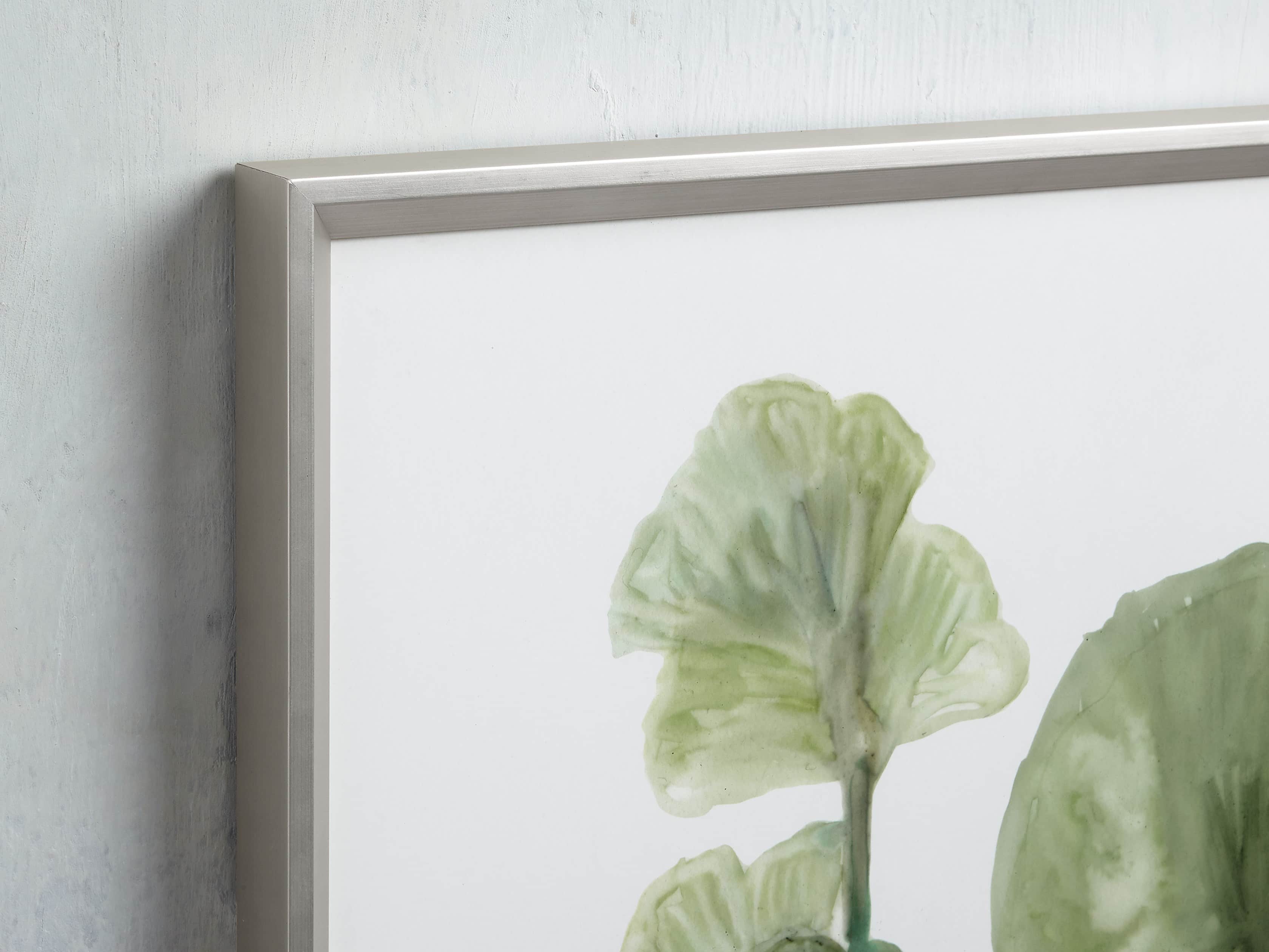 Translucent Leaves Framed Print II, slide 2 of 7