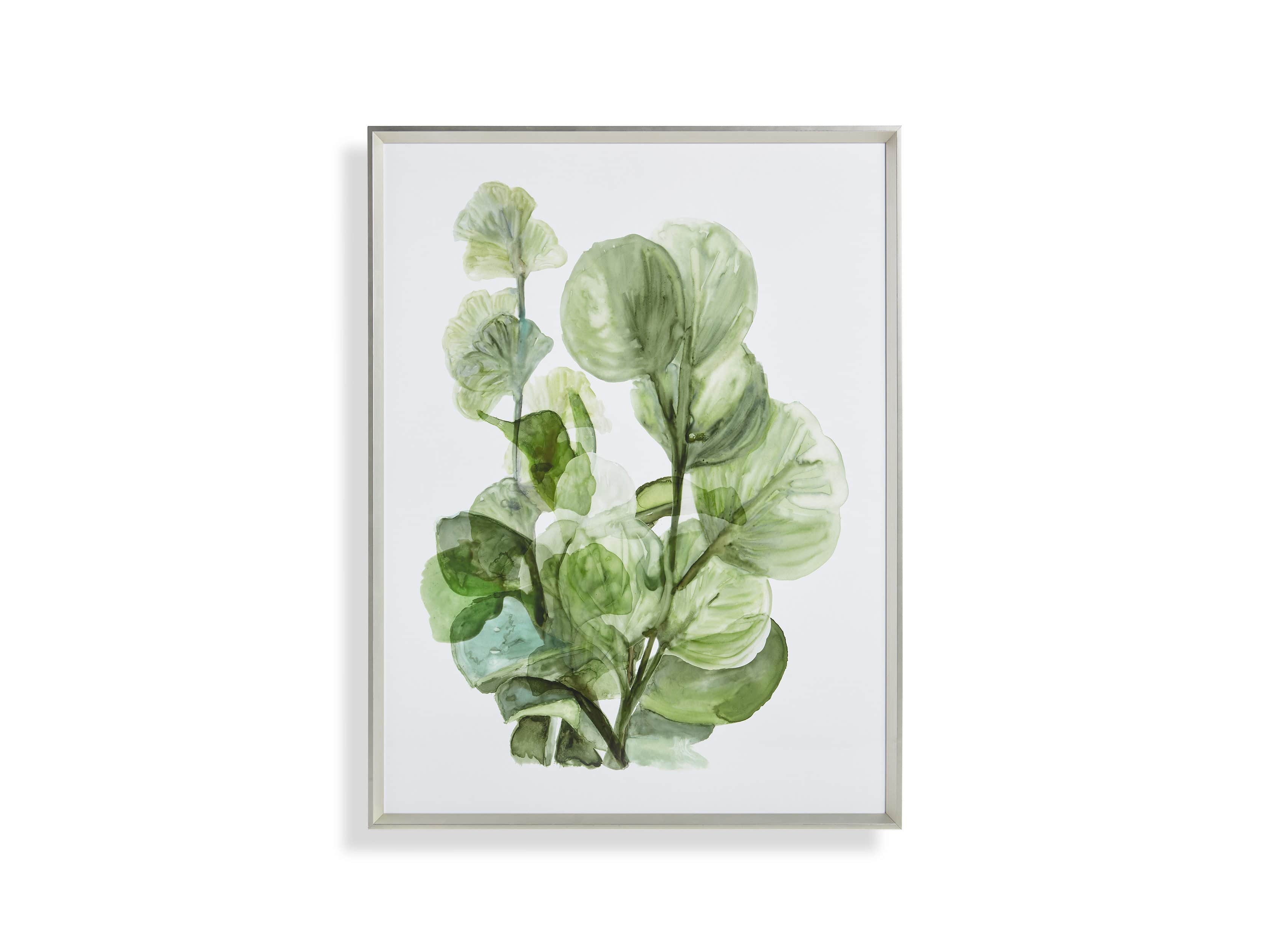 Translucent Leaves Framed Print II, slide 7 of 7
