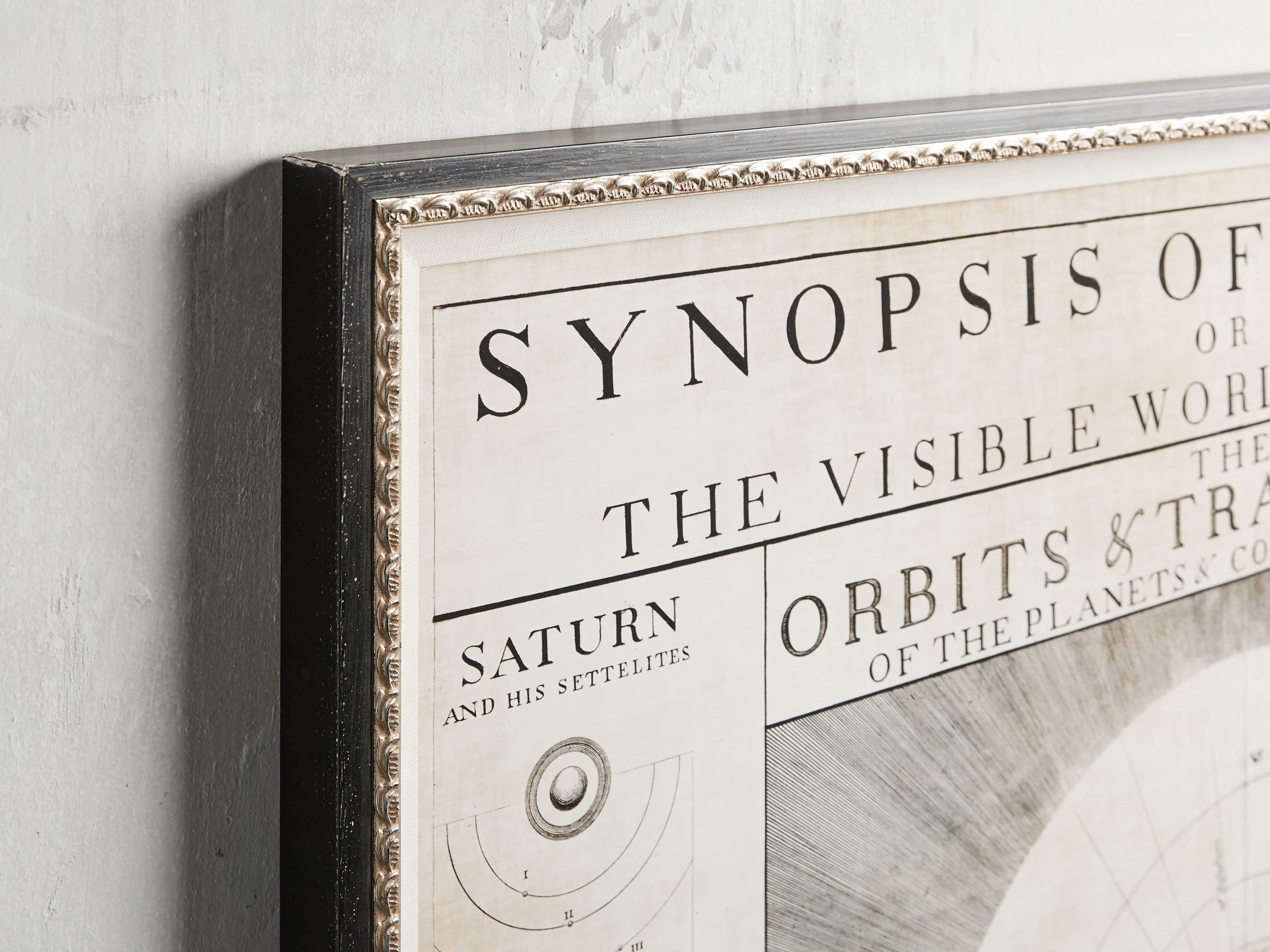 Synopsis 40" Framed Print