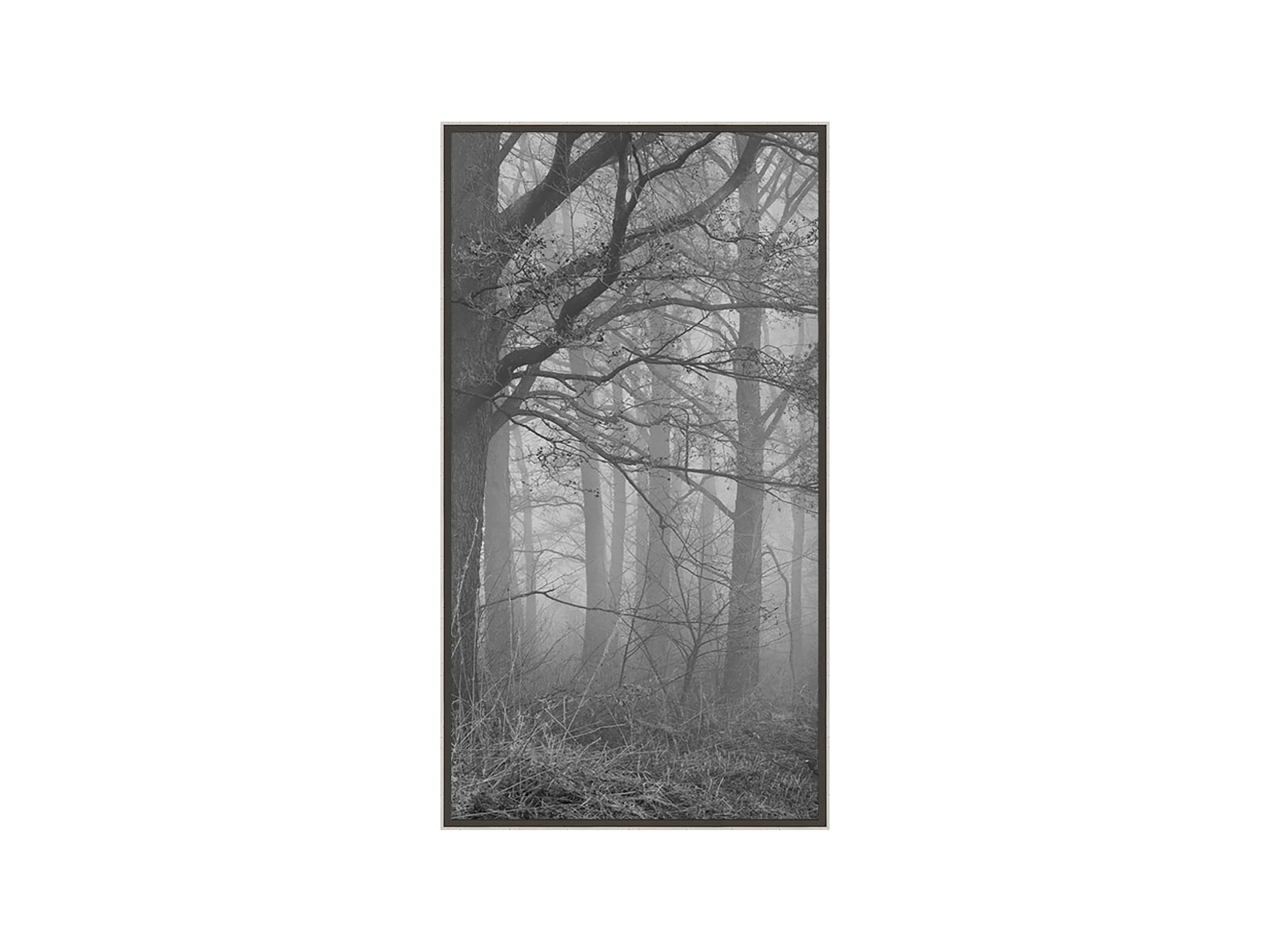 Silver Leaf Forest 32" X 18" Print I, slide 2 of 3