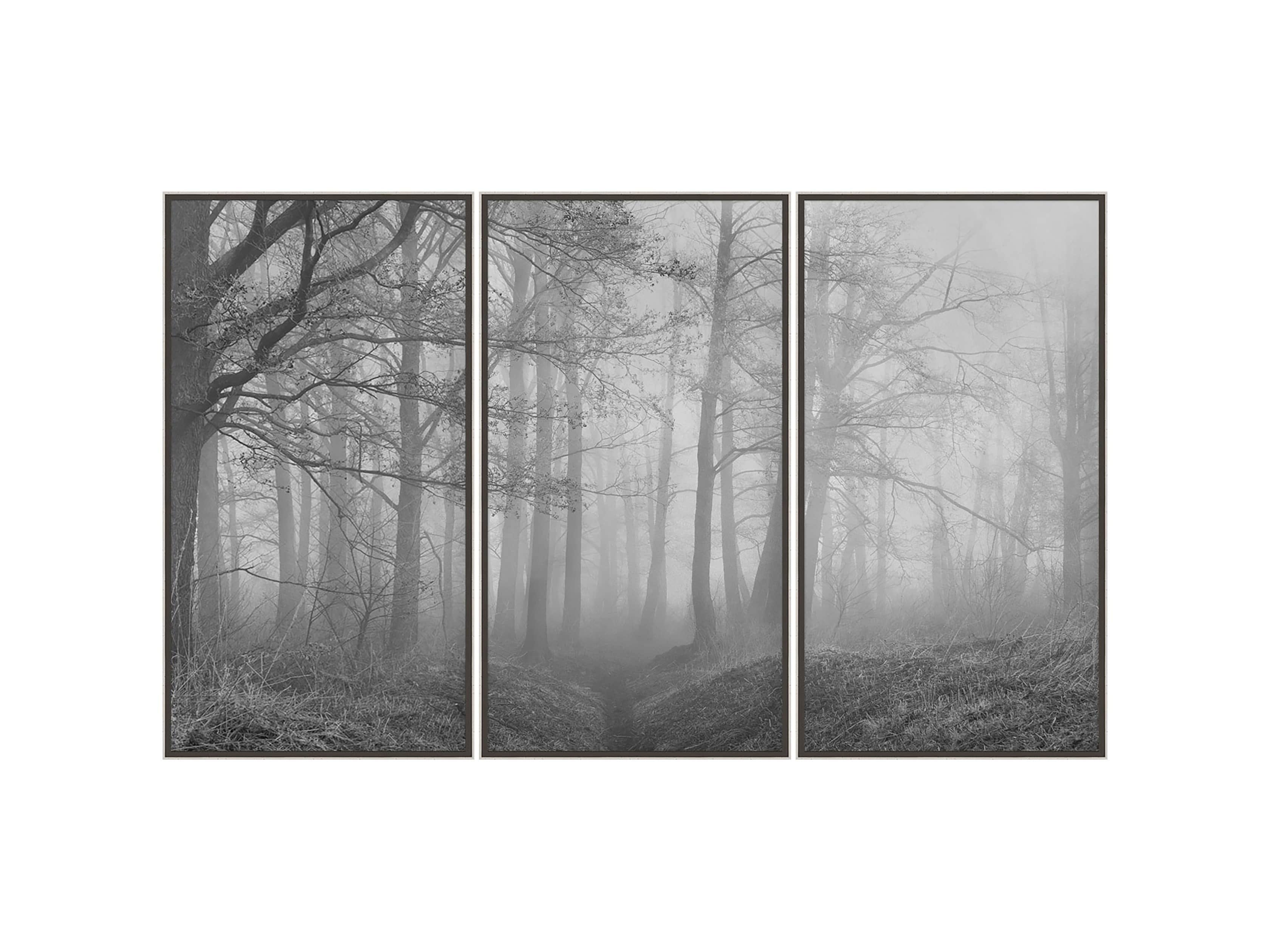 Silver Leaf Forest 32" X 18" Print I, slide 3 of 3