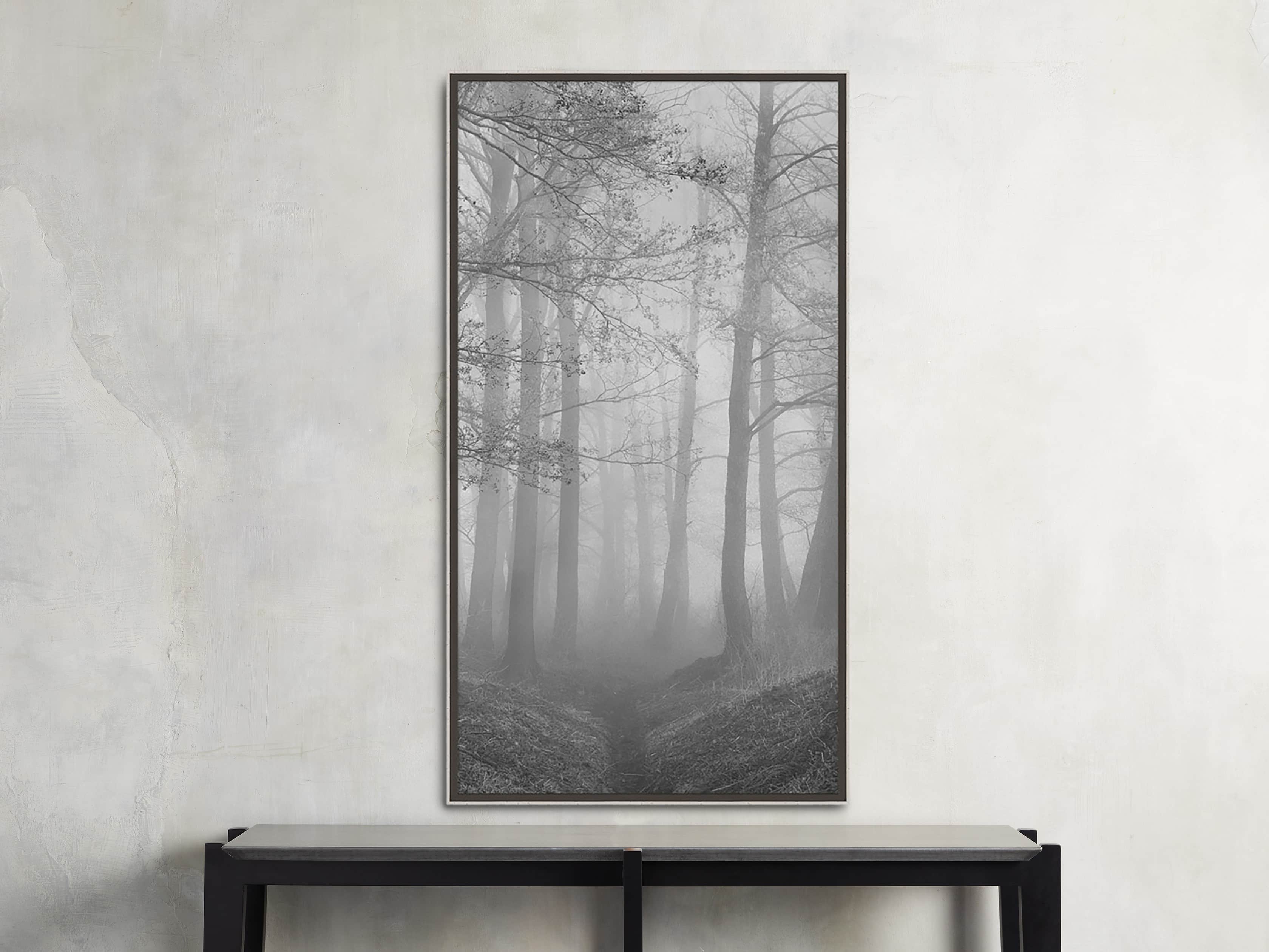 Silver Leaf Forest 32" X 18" Print II, slide 1 of 3
