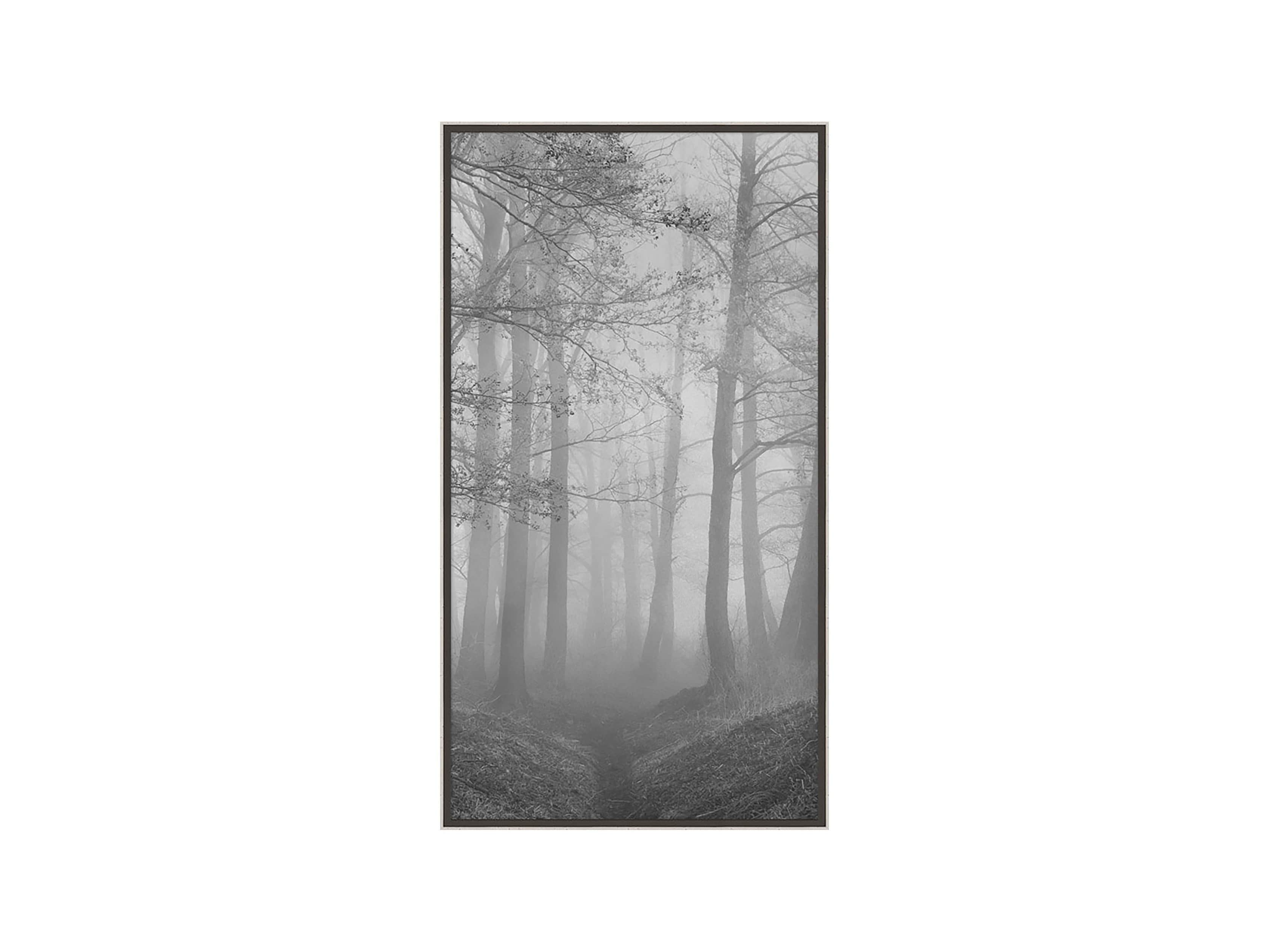 Silver Leaf Forest 32" X 18" Print II, slide 2 of 3