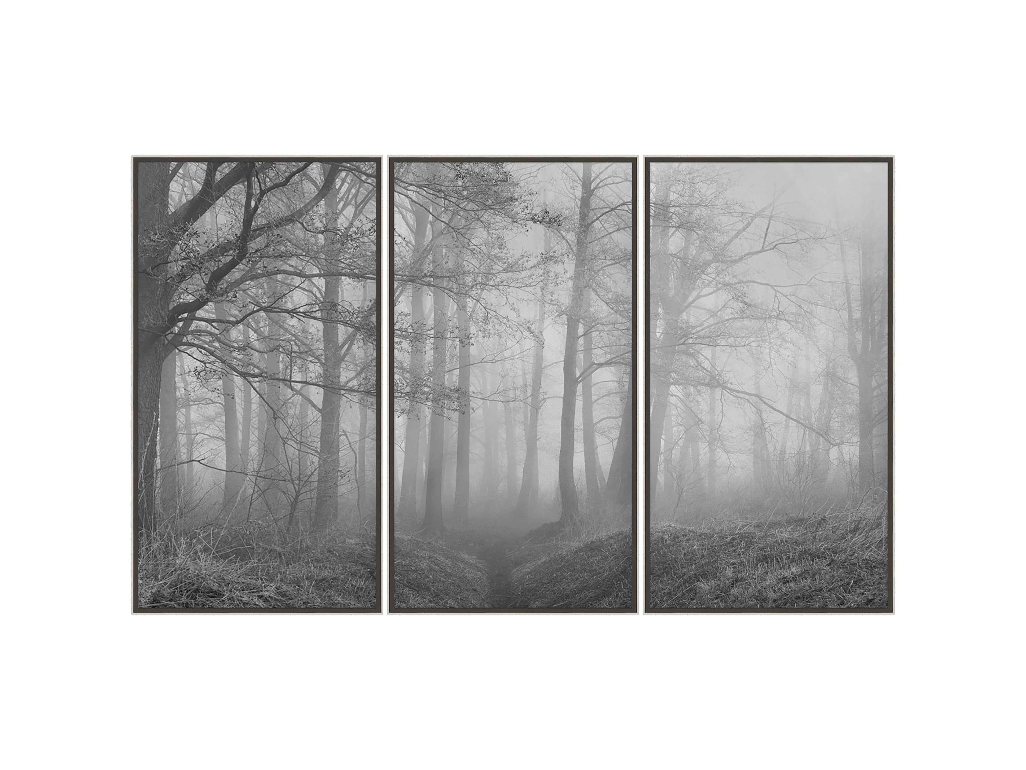 Silver Leaf Forest 32" X 18" Print II, slide 3 of 3