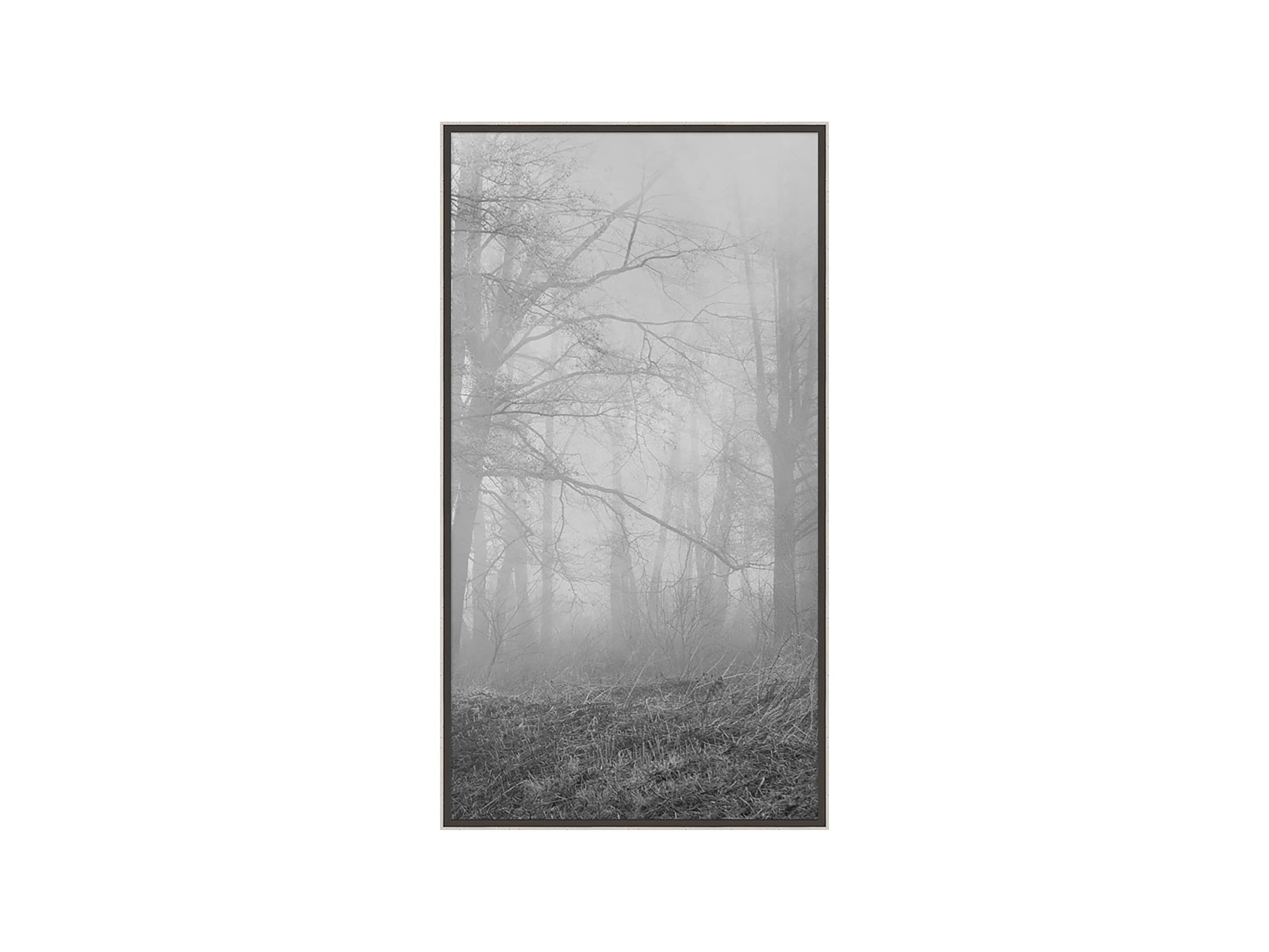 Silver Leaf Forest 32" X 18" Print III, slide 2 of 3