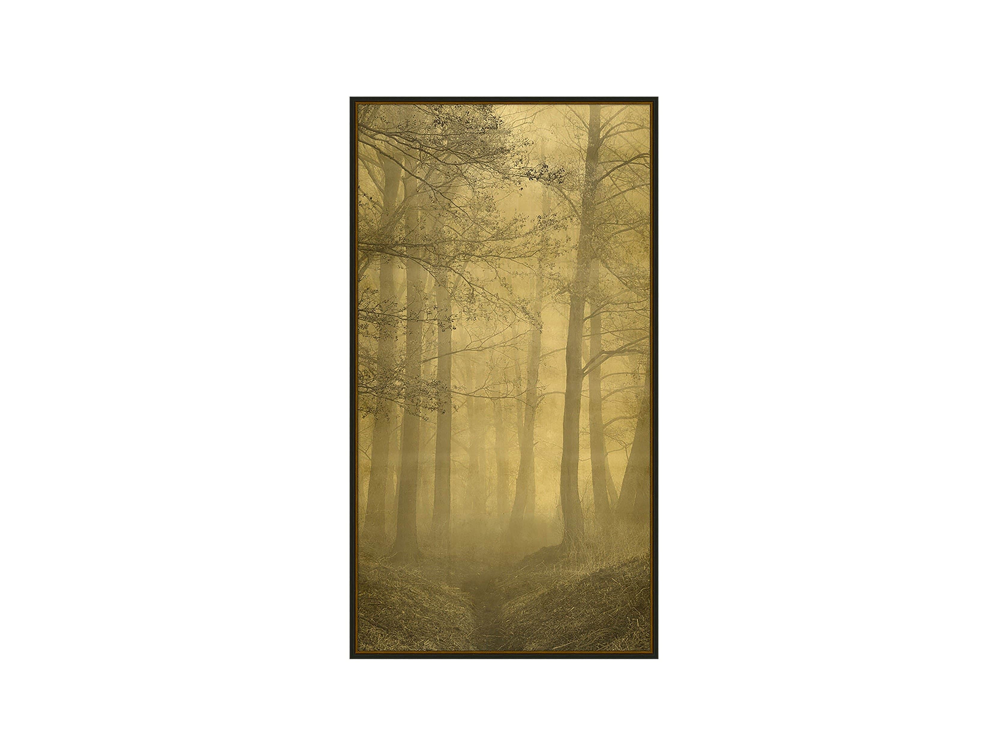 Gold Leaf Forest 32" X 18" Print 2