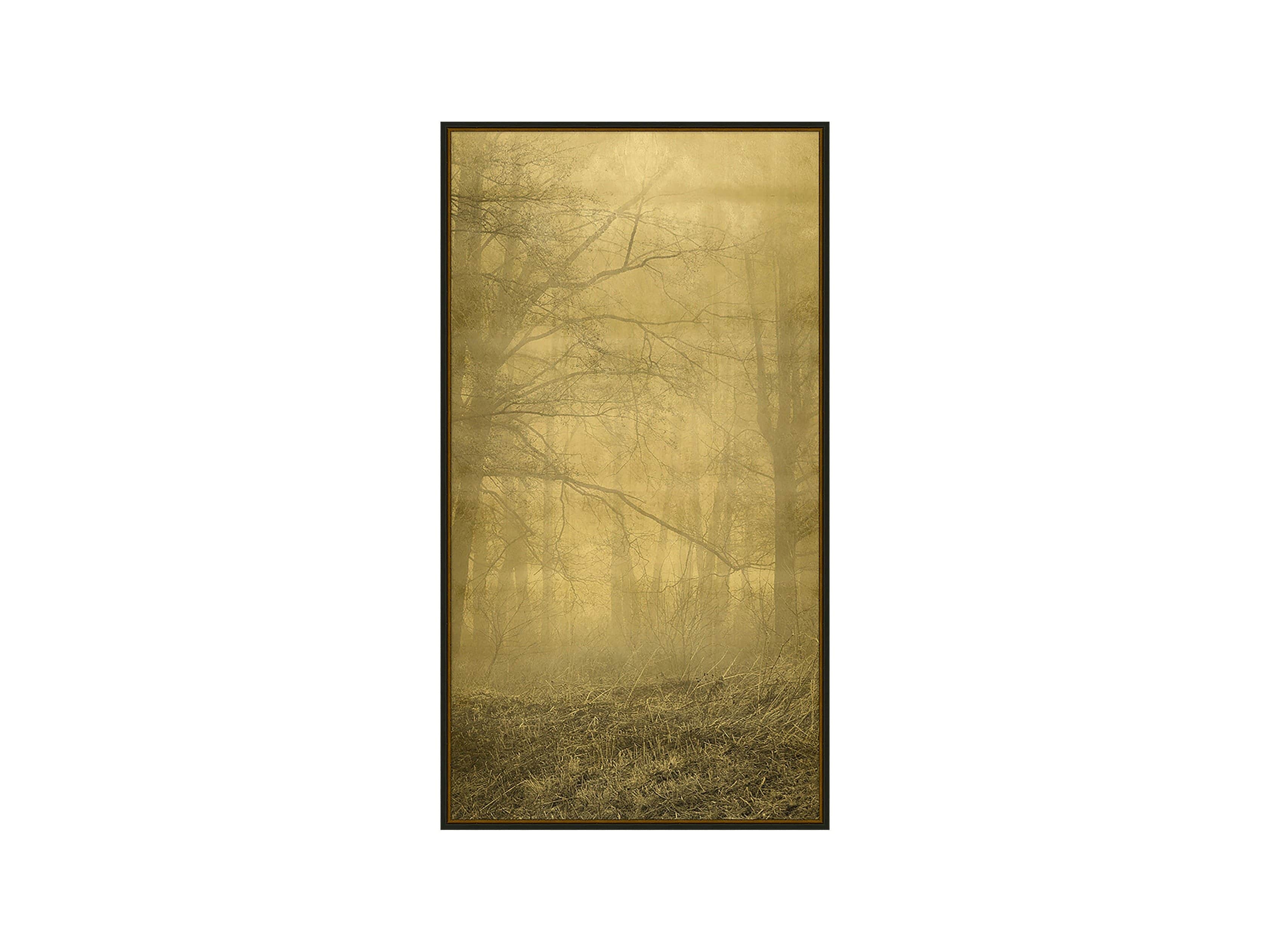 Gold Leaf Forest 16" X 30" Print 3