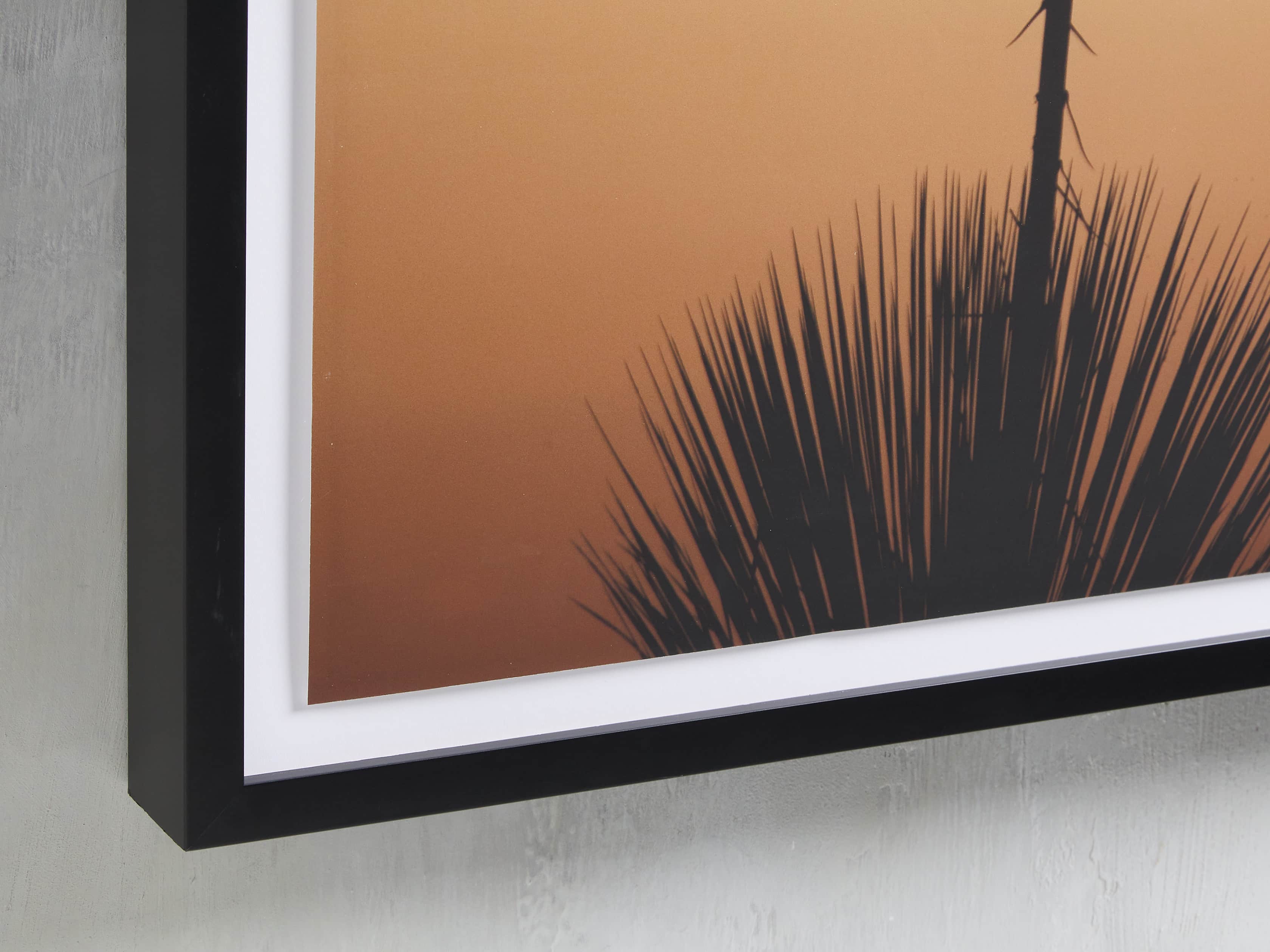 Yucca Framed Print, slide 2 of 4