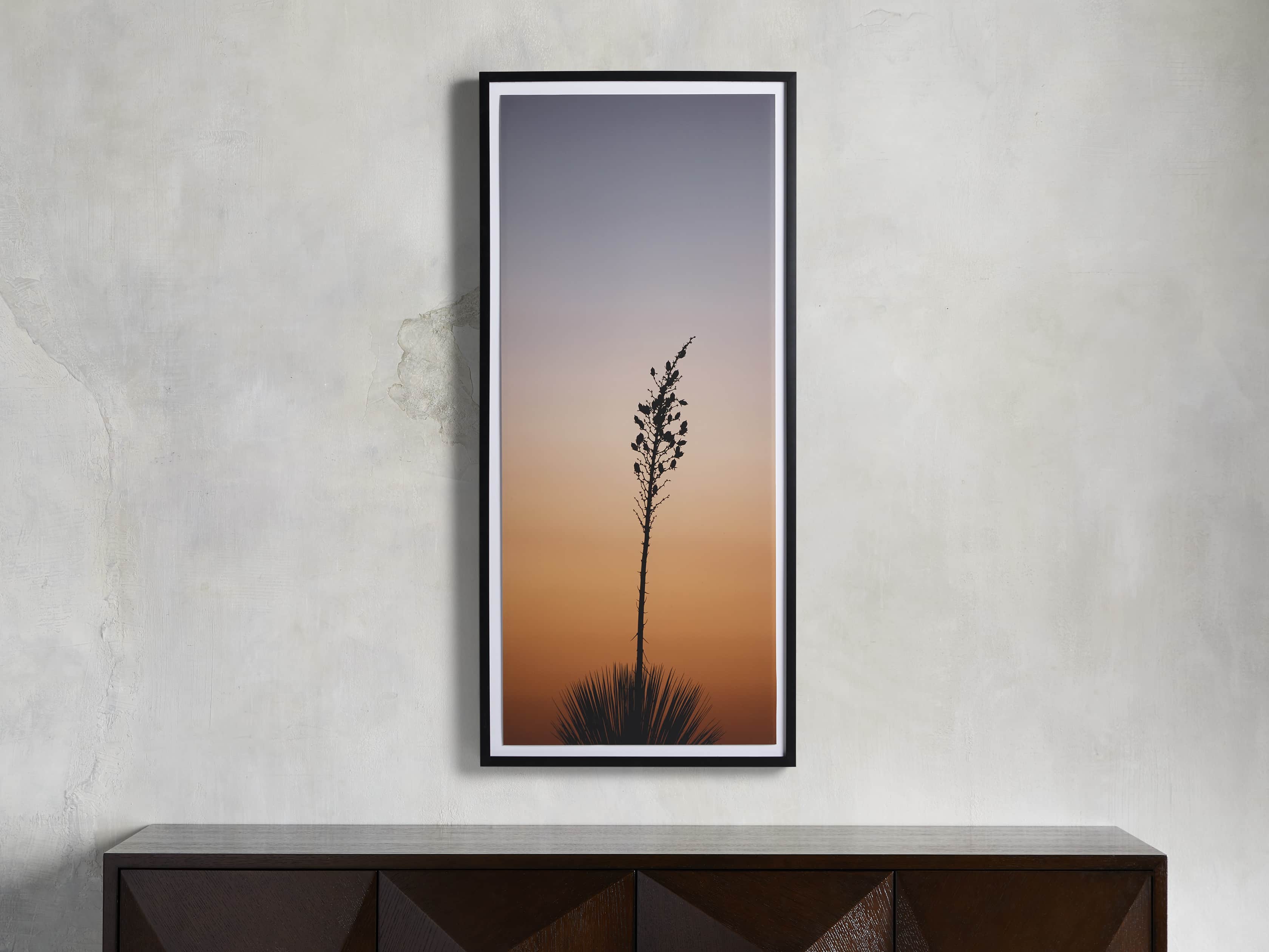 Yucca Framed Print, slide 1 of 4