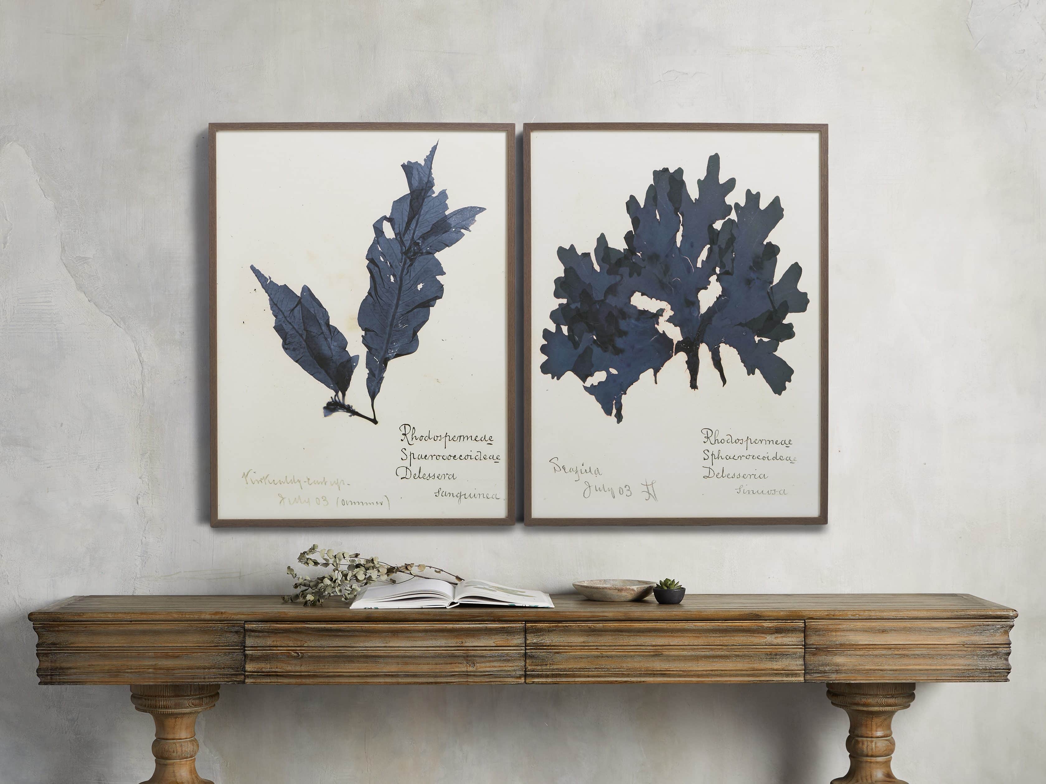 32" Blue Seaweed Framed Print I, slide 3 of 5