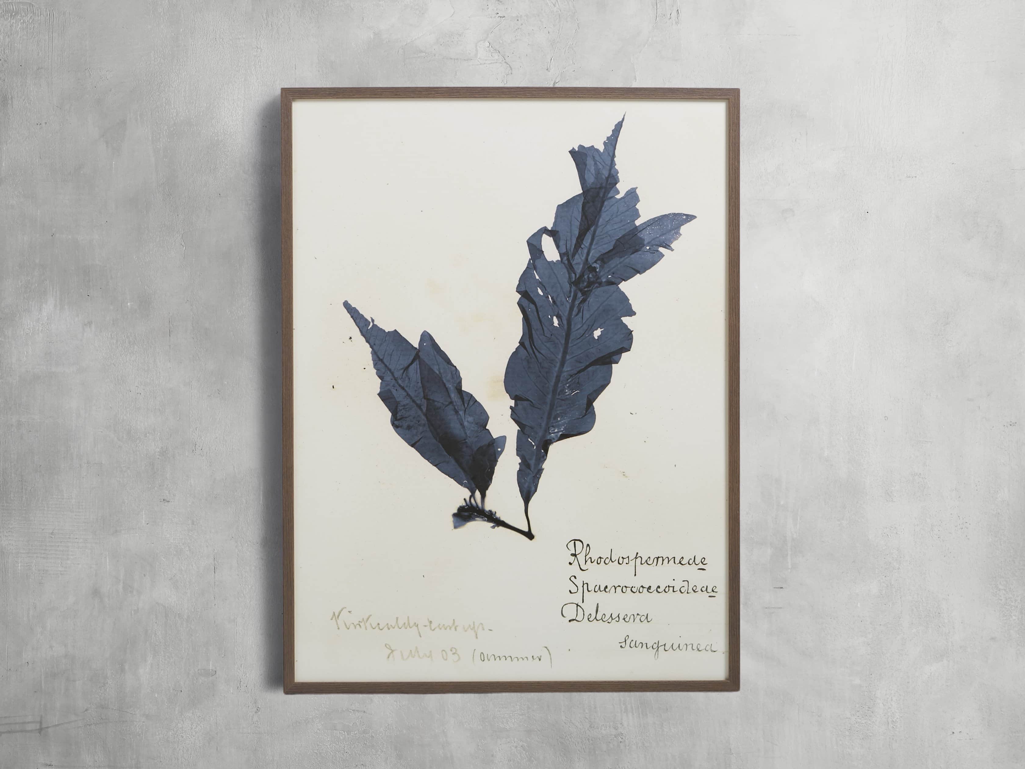 32" Blue Seaweed Framed Print II, slide 1 of 5