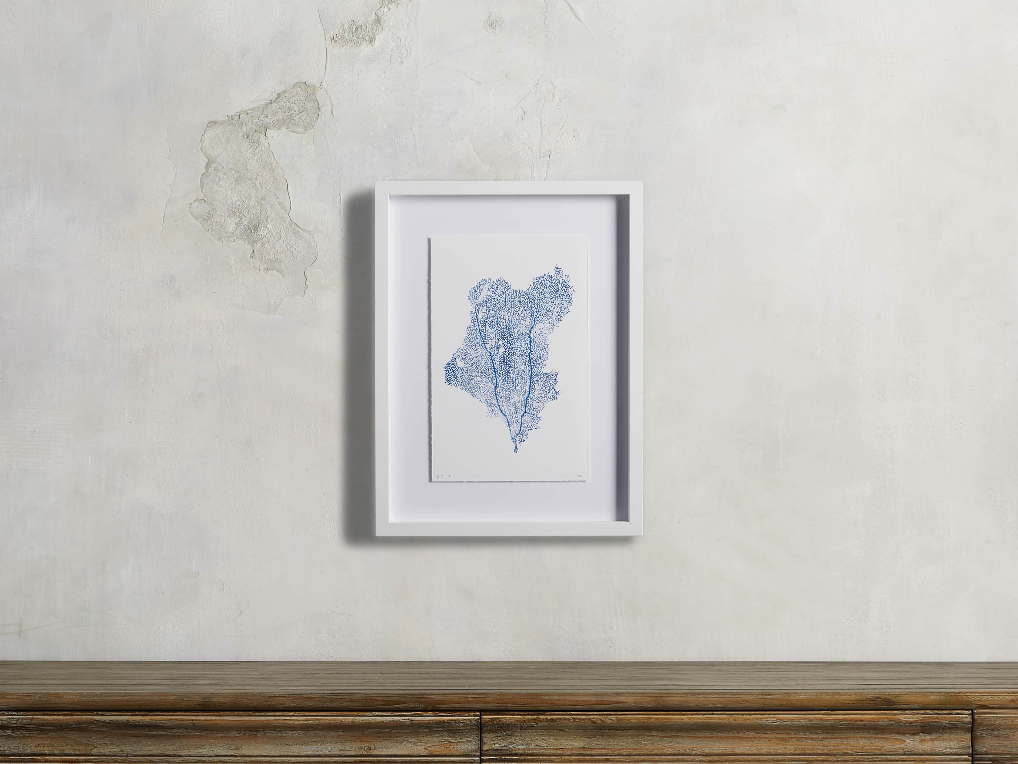 Blue Sea Fan I Print, slide 1 of 4